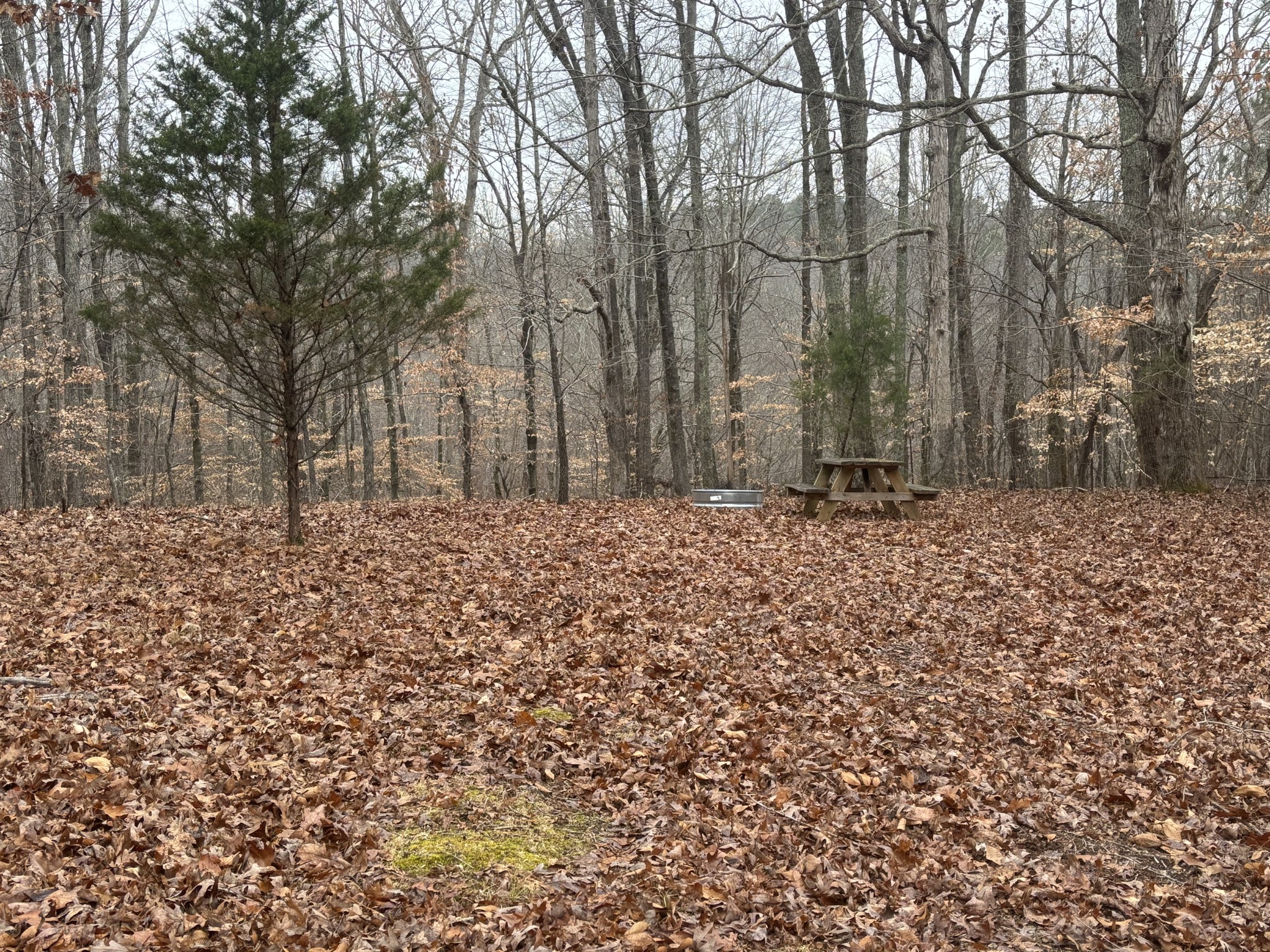 1221 Johnson Branch Road Pulaski, TN 38478 - Photo 96 of 98