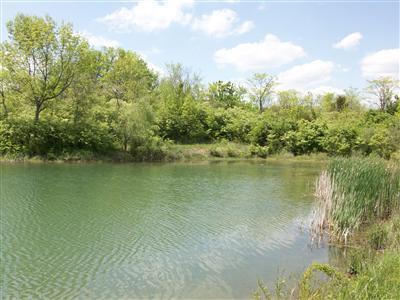 407 Mcclure Road Lebanon, OH 45036 - Photo 1 of 1 Gallery Image 1