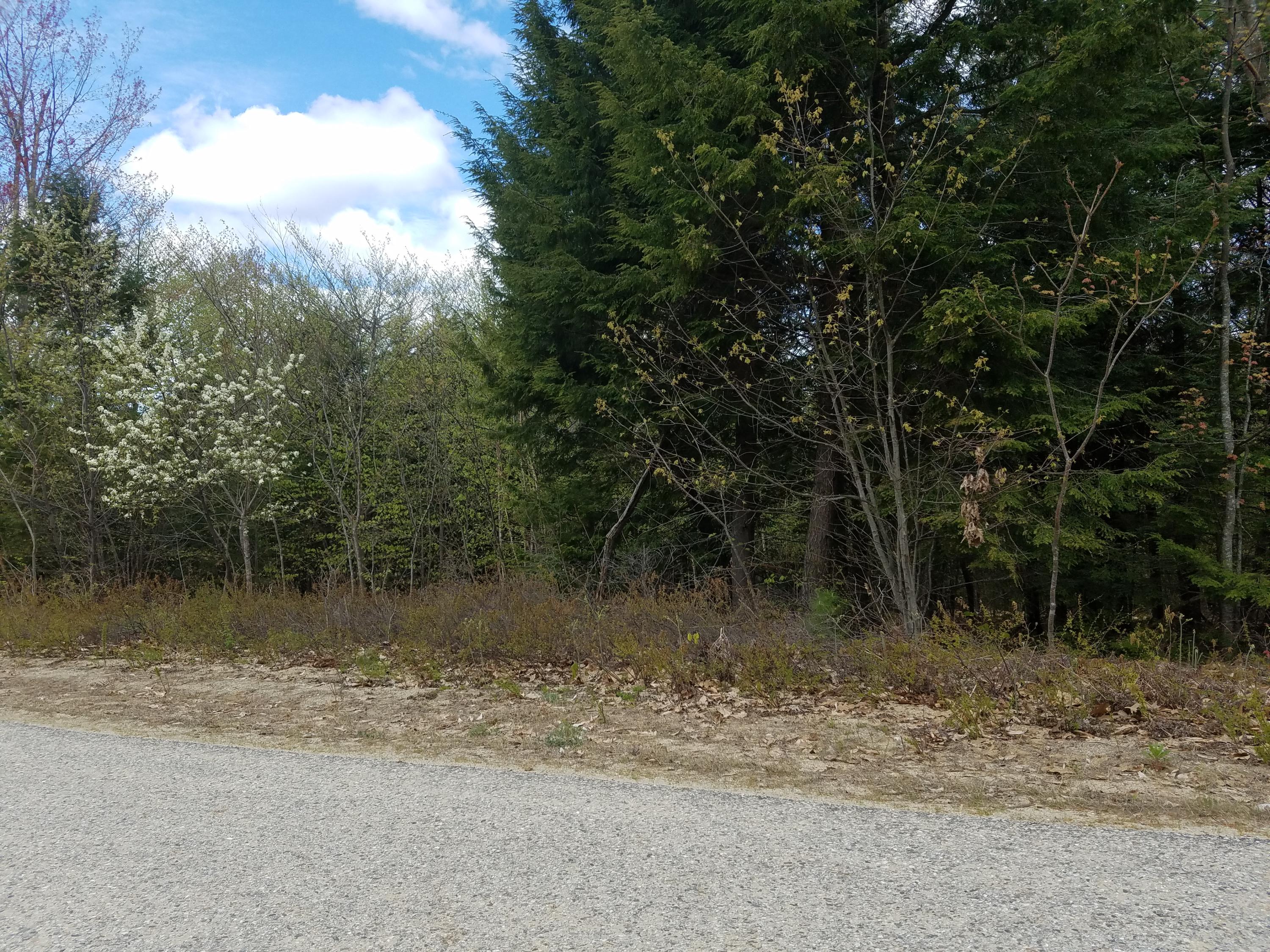 Lot 10 Diffin Road Oxford, ME 04270 - Photo 1 of 4 20190518_115616