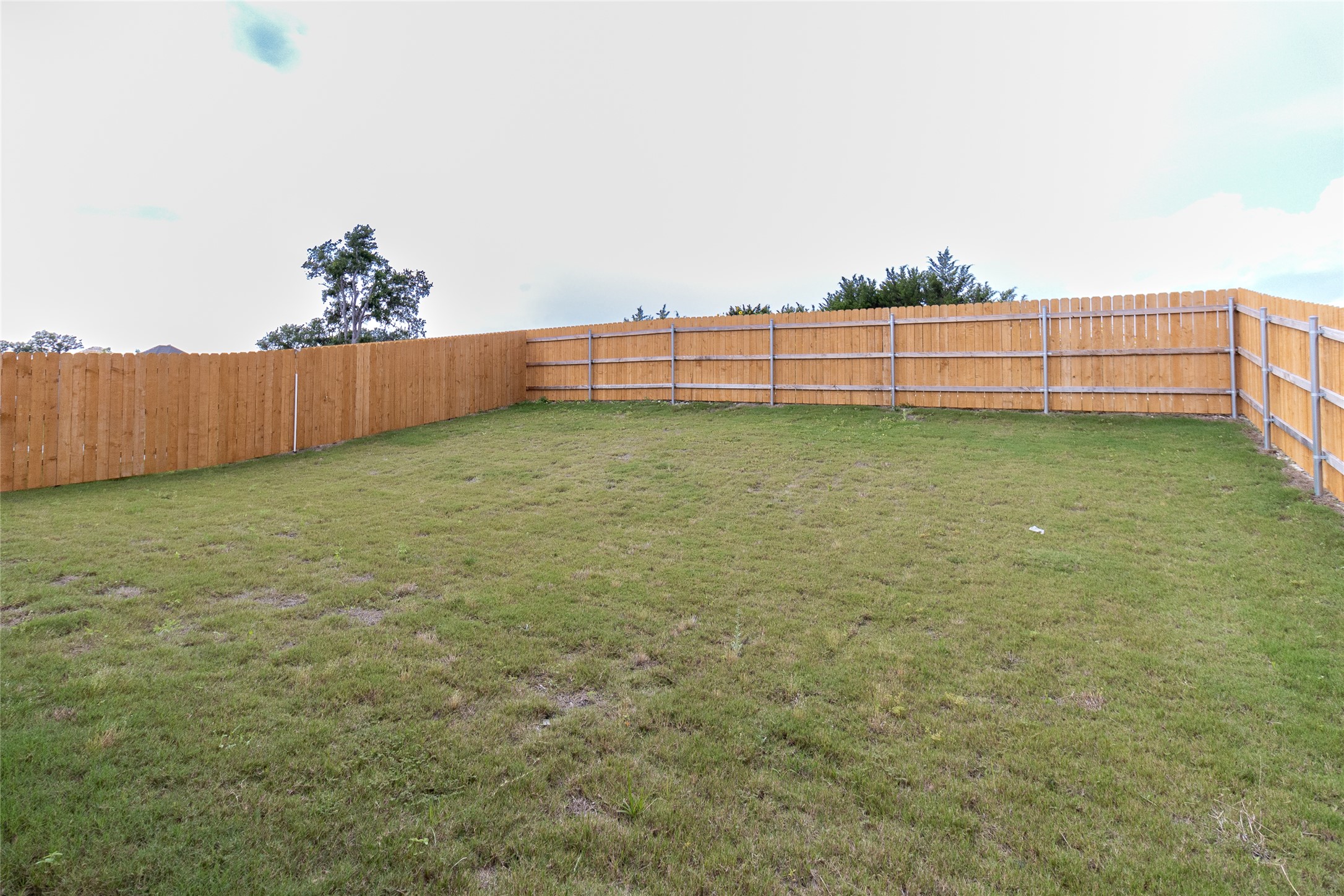 325 Coda Crossing Georgetown, TX 78633 - Photo 22 of 24 a view of a backyard