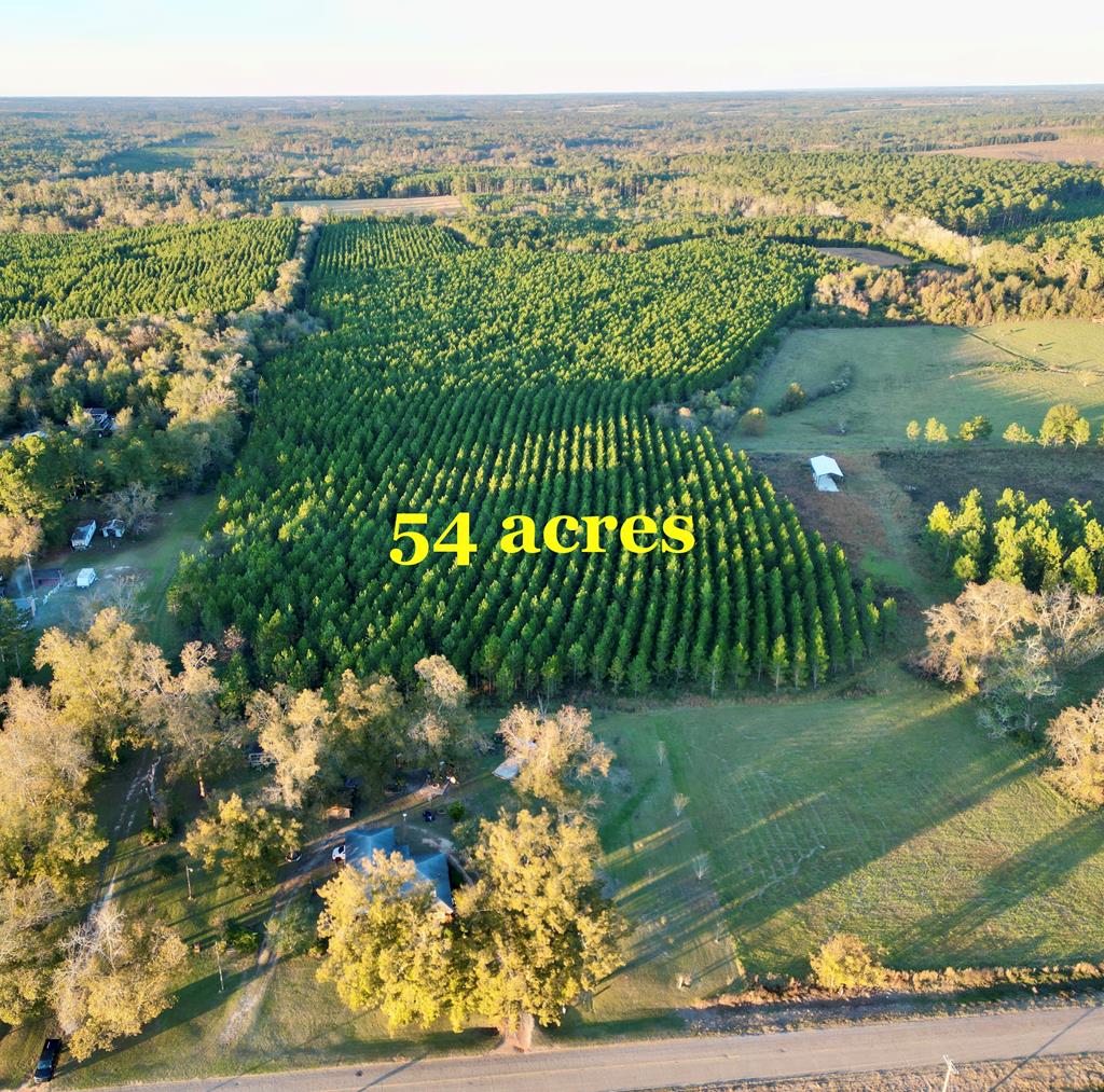 54-acres Bill Yance Road Columbia, AL 36319 - Photo 1 of 1