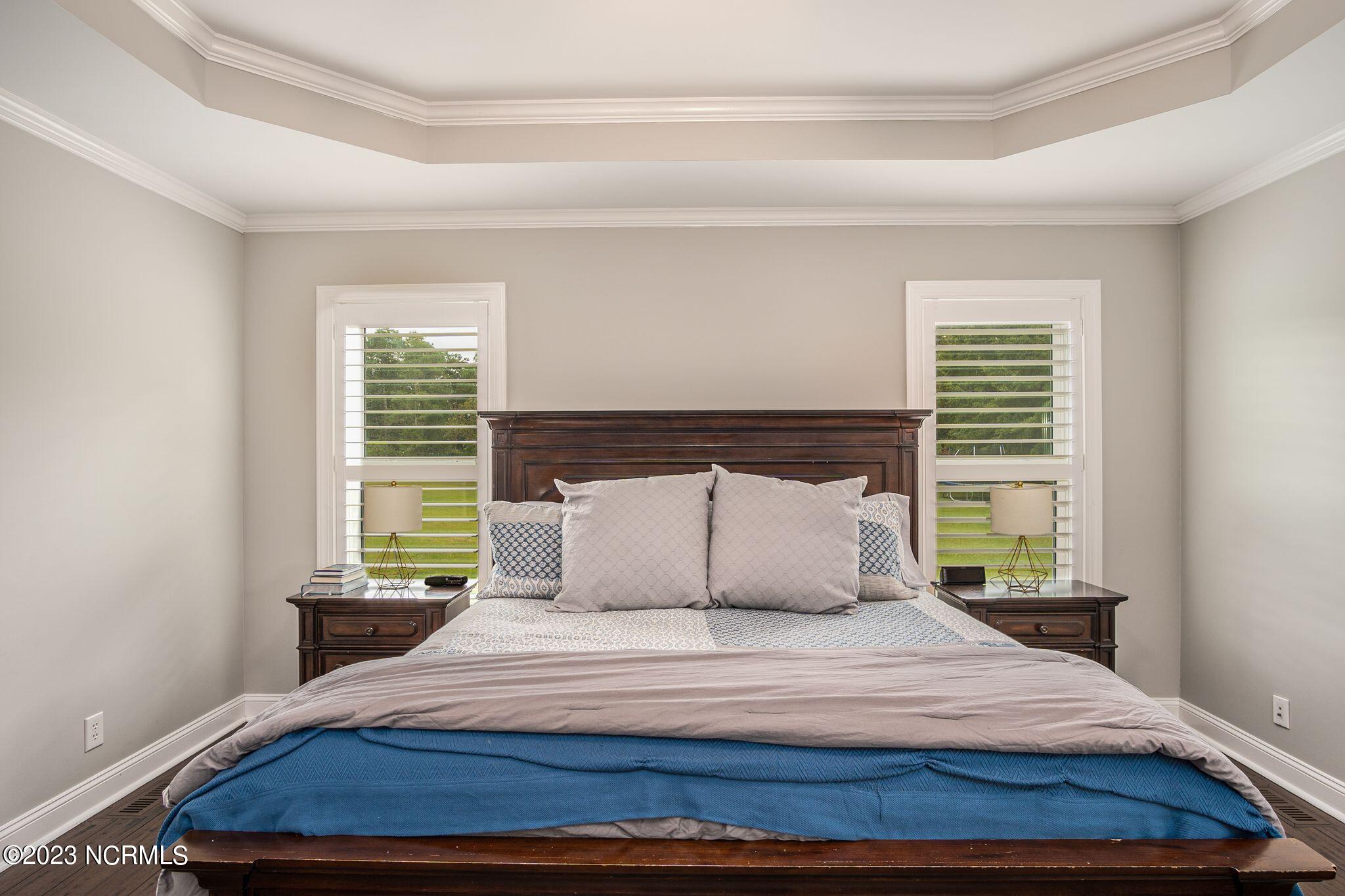 3640 Sandy Ridge Farm Road La Grange, NC 28551 - Photo 4 of 72 Master Bedroom