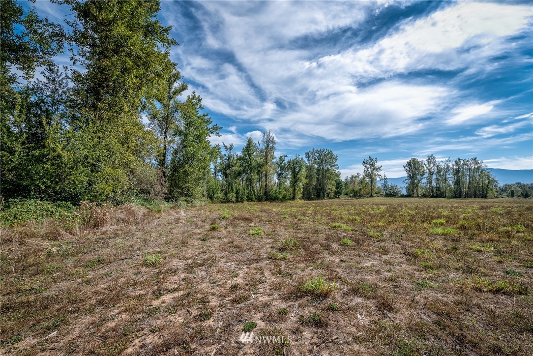 2753 East Badger Road Everson, WA 98247 - Photo 8 of 12