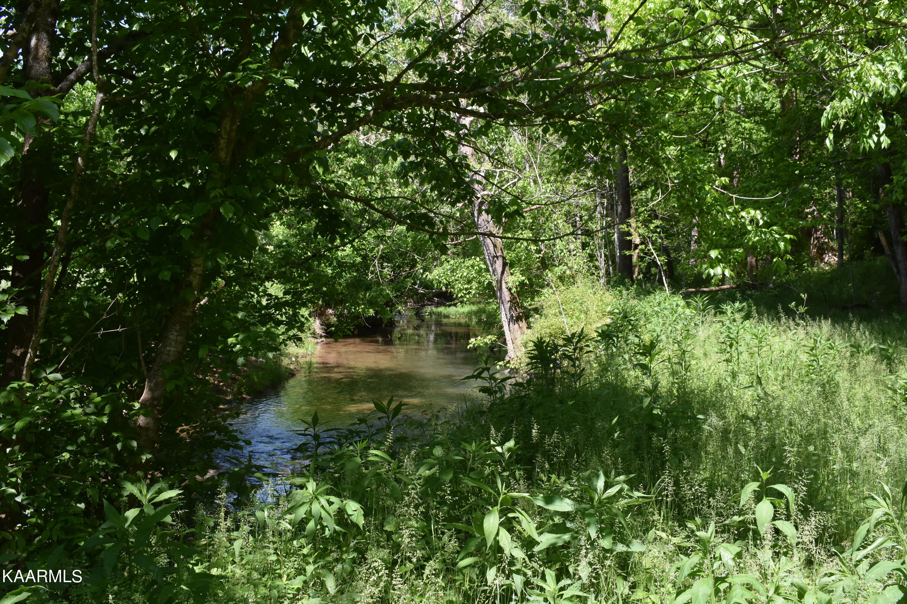 7736 Mulberry Gap Road Tazewell, TN 37879 - Photo 11 of 52 DSC_3079