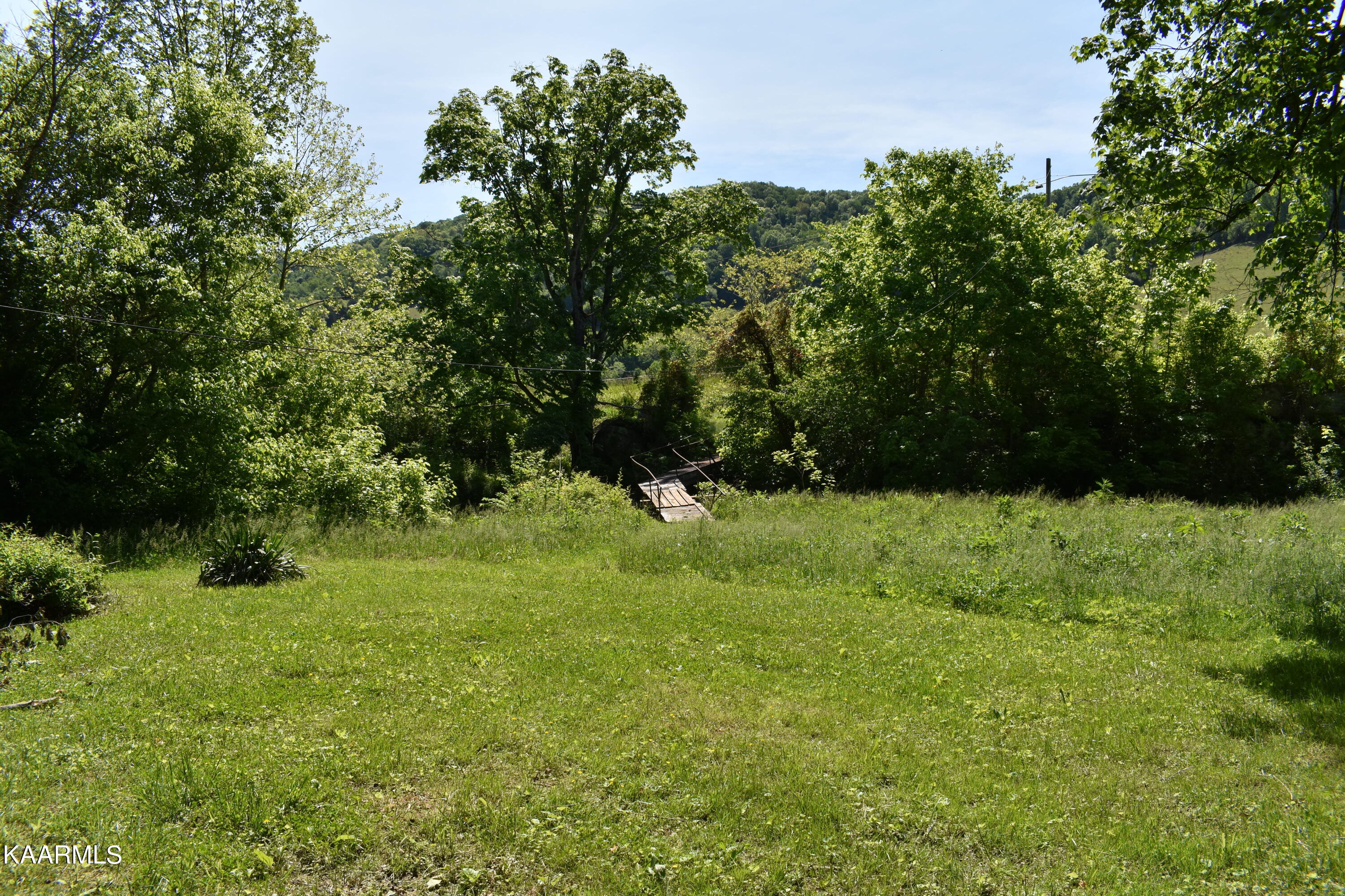 7736 Mulberry Gap Road Tazewell, TN 37879 - Photo 12 of 52 DSC_3083