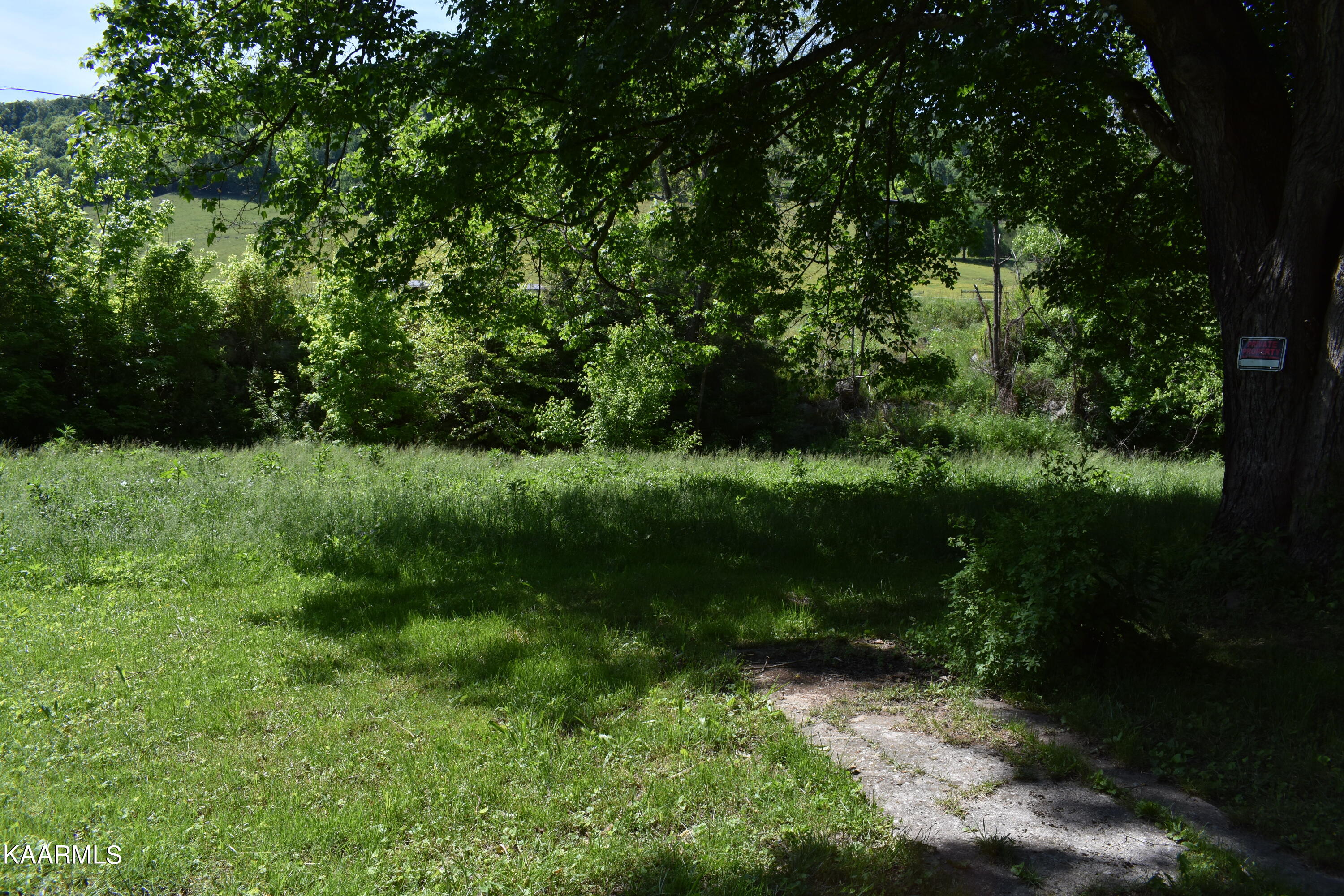 7736 Mulberry Gap Road Tazewell, TN 37879 - Photo 13 of 52 DSC_3084
