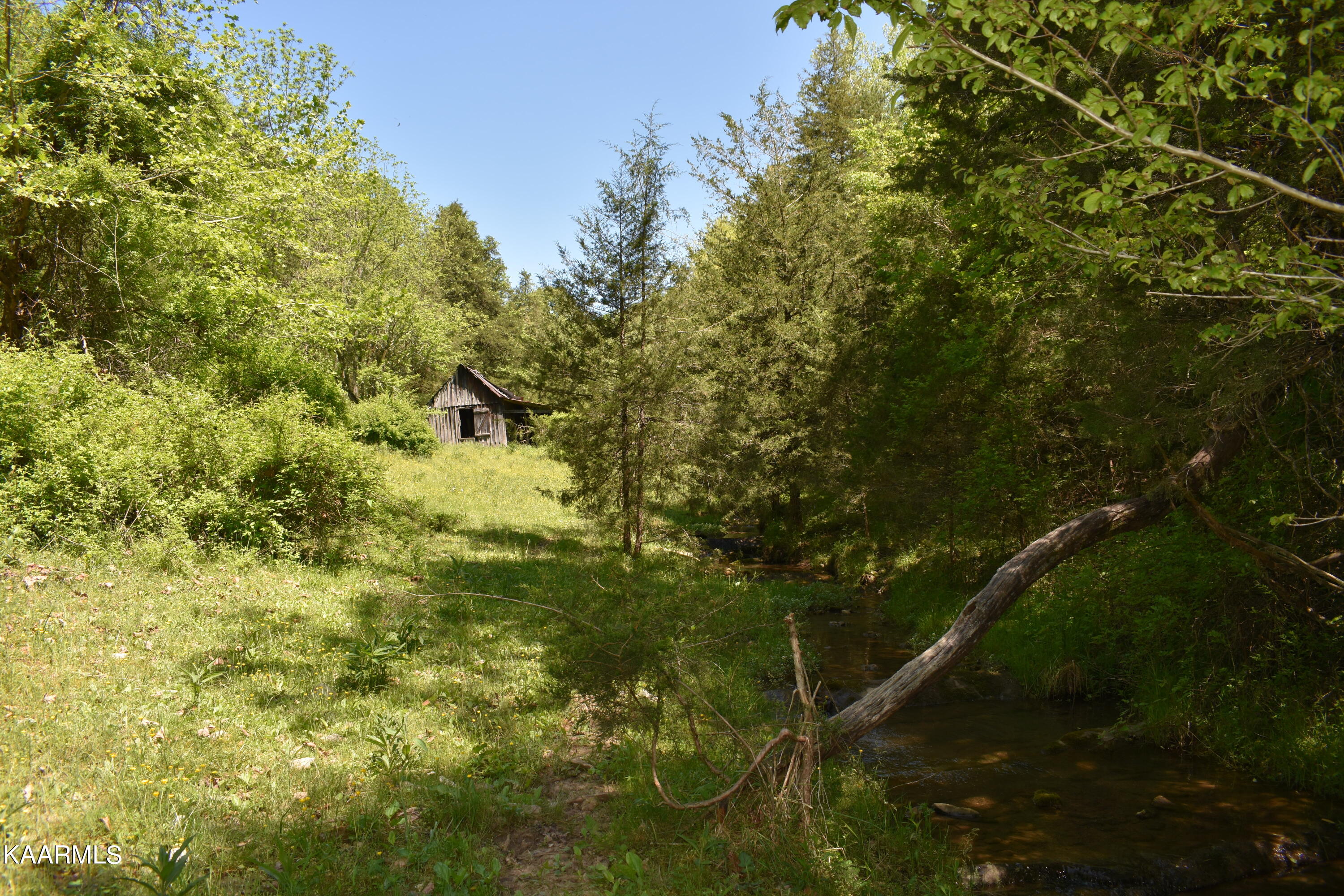 7736 Mulberry Gap Road Tazewell, TN 37879 - Photo 14 of 52 DSC_3090