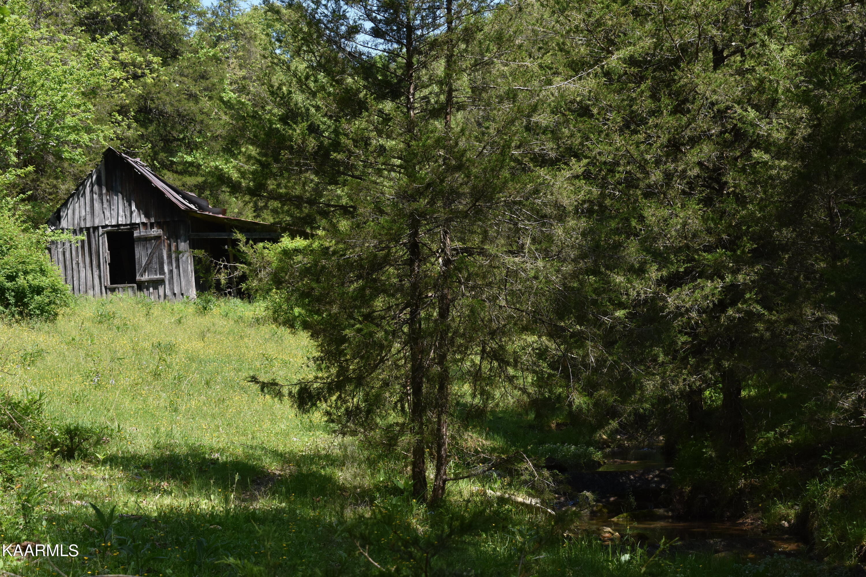 7736 Mulberry Gap Road Tazewell, TN 37879 - Photo 15 of 52 DSC_3091