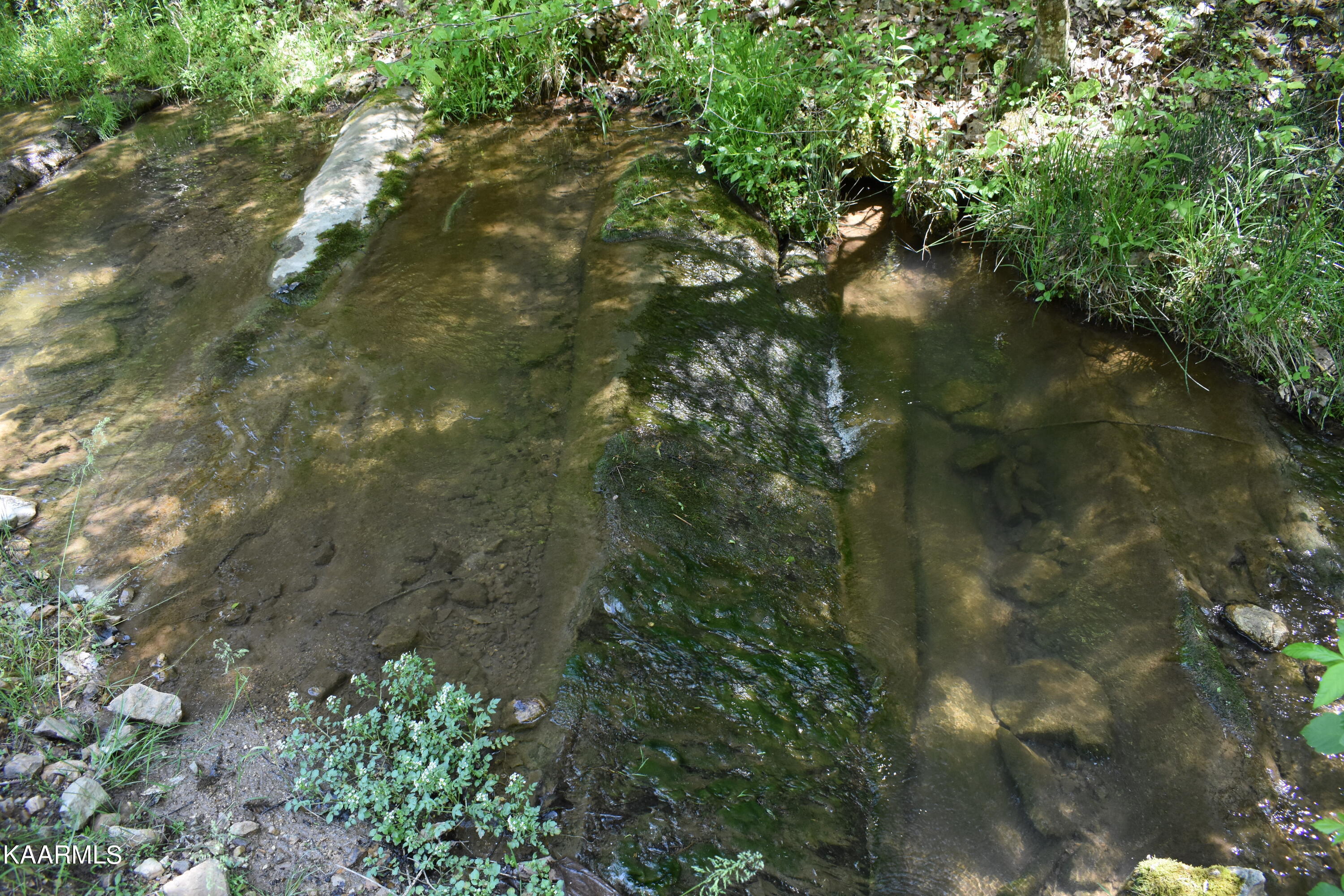 7736 Mulberry Gap Road Tazewell, TN 37879 - Photo 16 of 52 DSC_3092