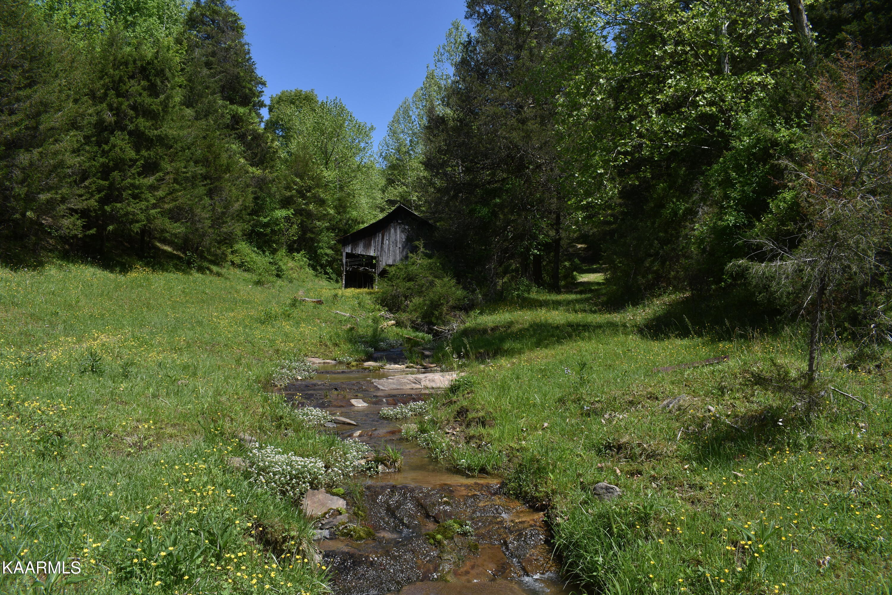 7736 Mulberry Gap Road Tazewell, TN 37879 - Photo 17 of 52 DSC_3096