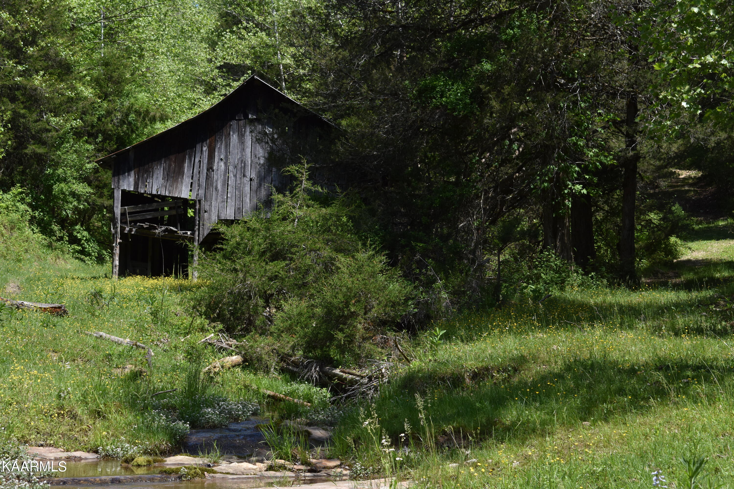 7736 Mulberry Gap Road Tazewell, TN 37879 - Photo 18 of 52 DSC_3097