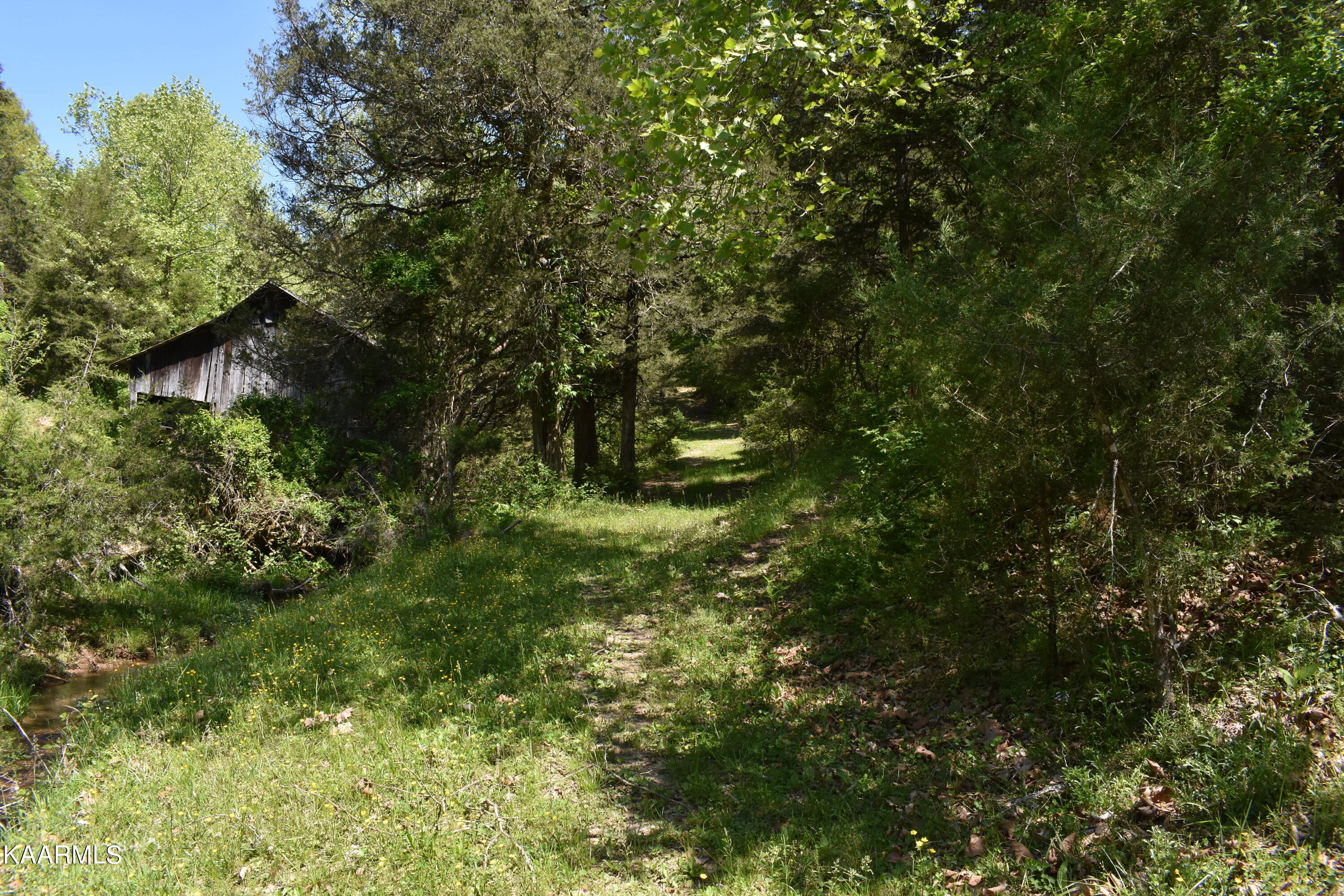 7736 Mulberry Gap Road Tazewell, TN 37879 - Photo 19 of 52 DSC_3098