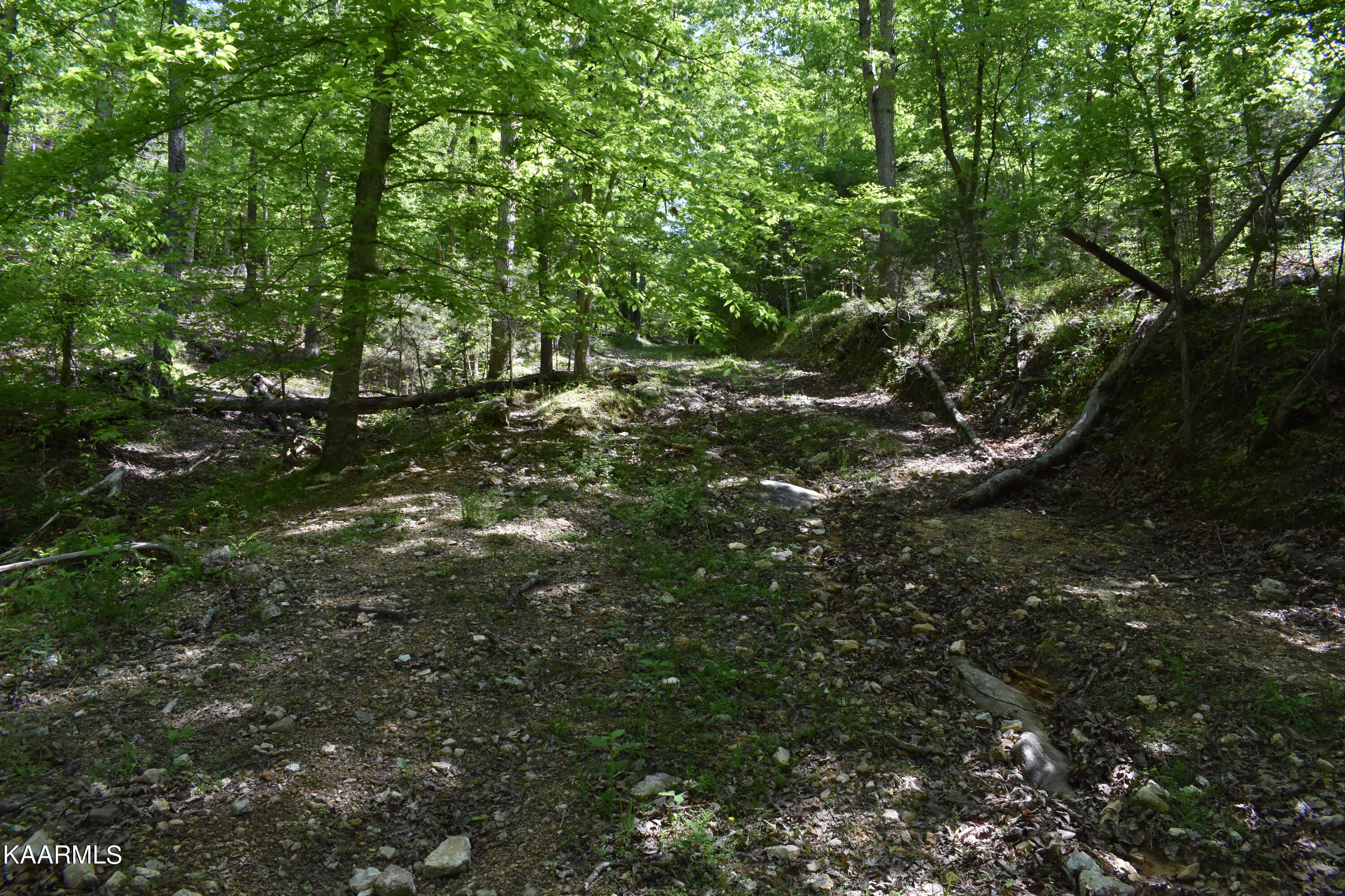7736 Mulberry Gap Road Tazewell, TN 37879 - Photo 20 of 52 DSC_3100