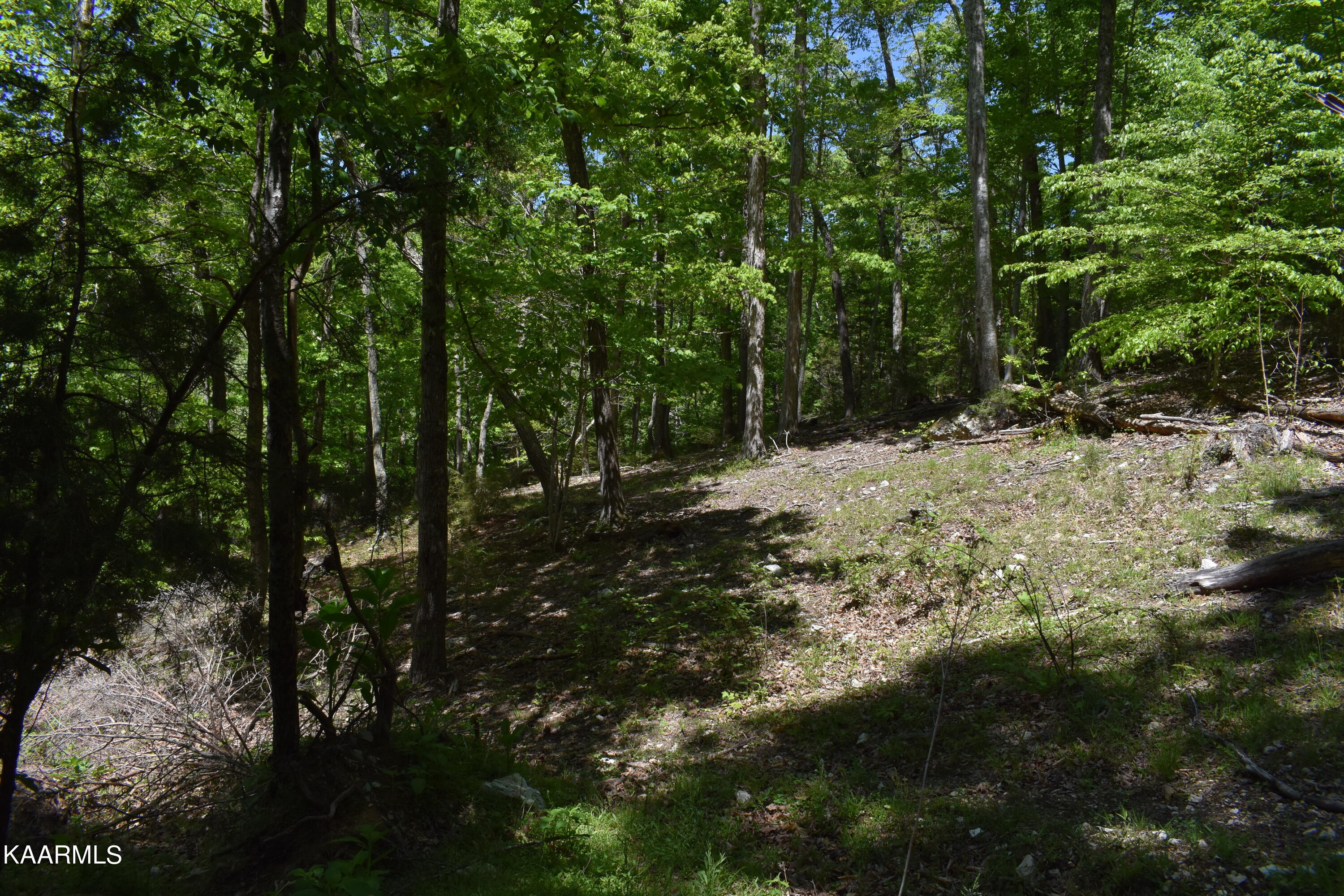 7736 Mulberry Gap Road Tazewell, TN 37879 - Photo 21 of 52 DSC_3103