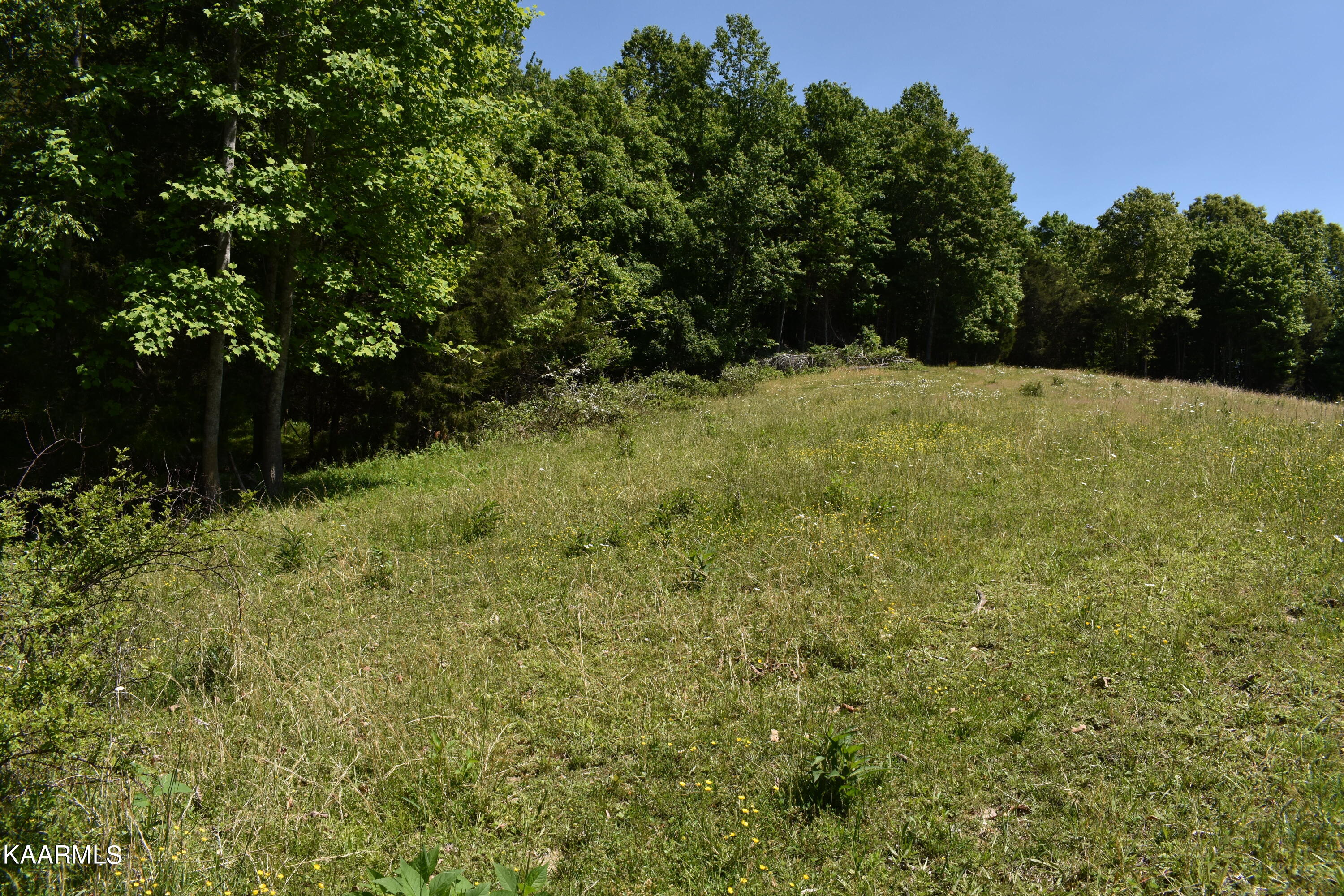 7736 Mulberry Gap Road Tazewell, TN 37879 - Photo 23 of 52 DSC_3106