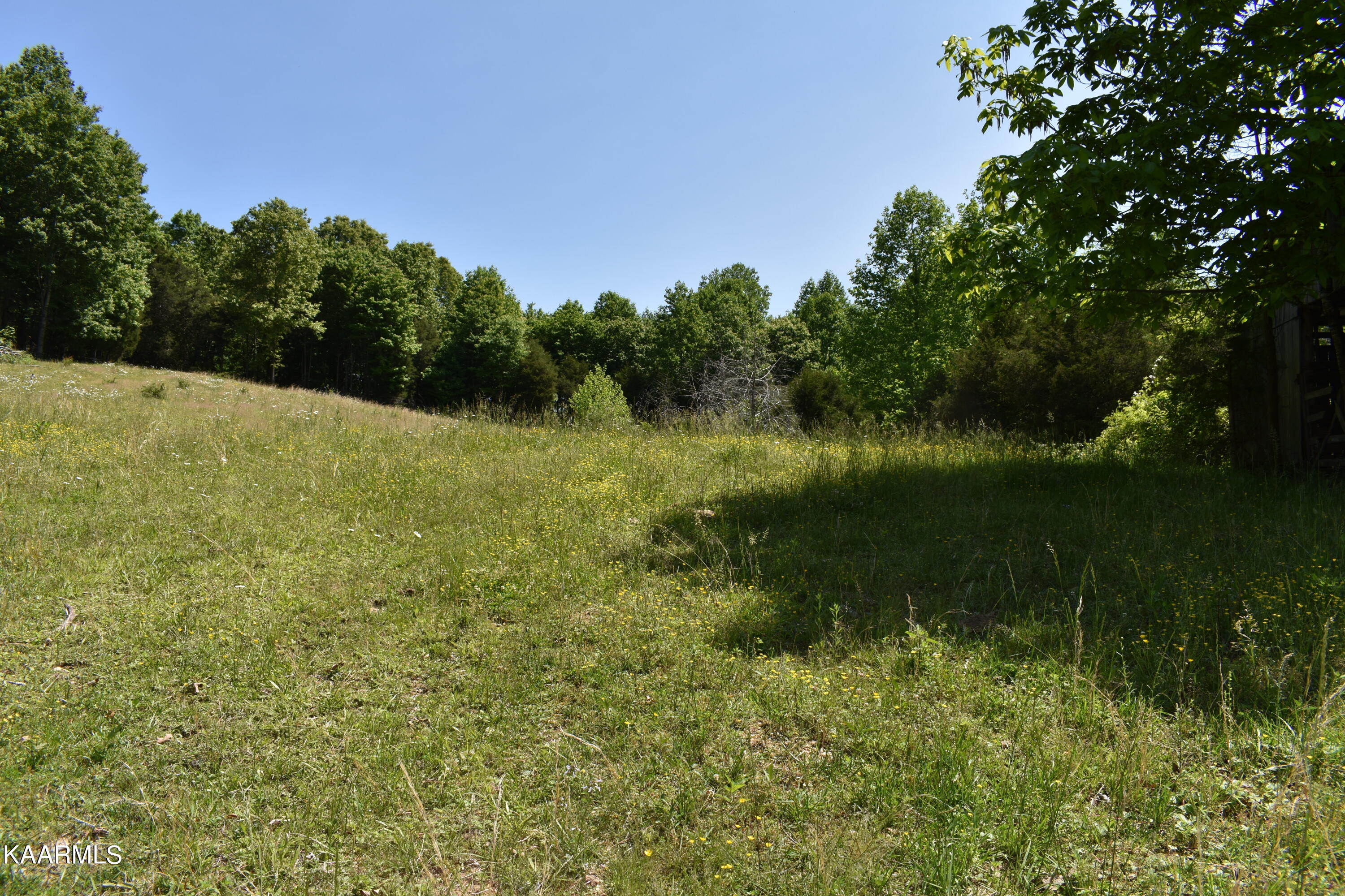7736 Mulberry Gap Road Tazewell, TN 37879 - Photo 24 of 52 DSC_3107
