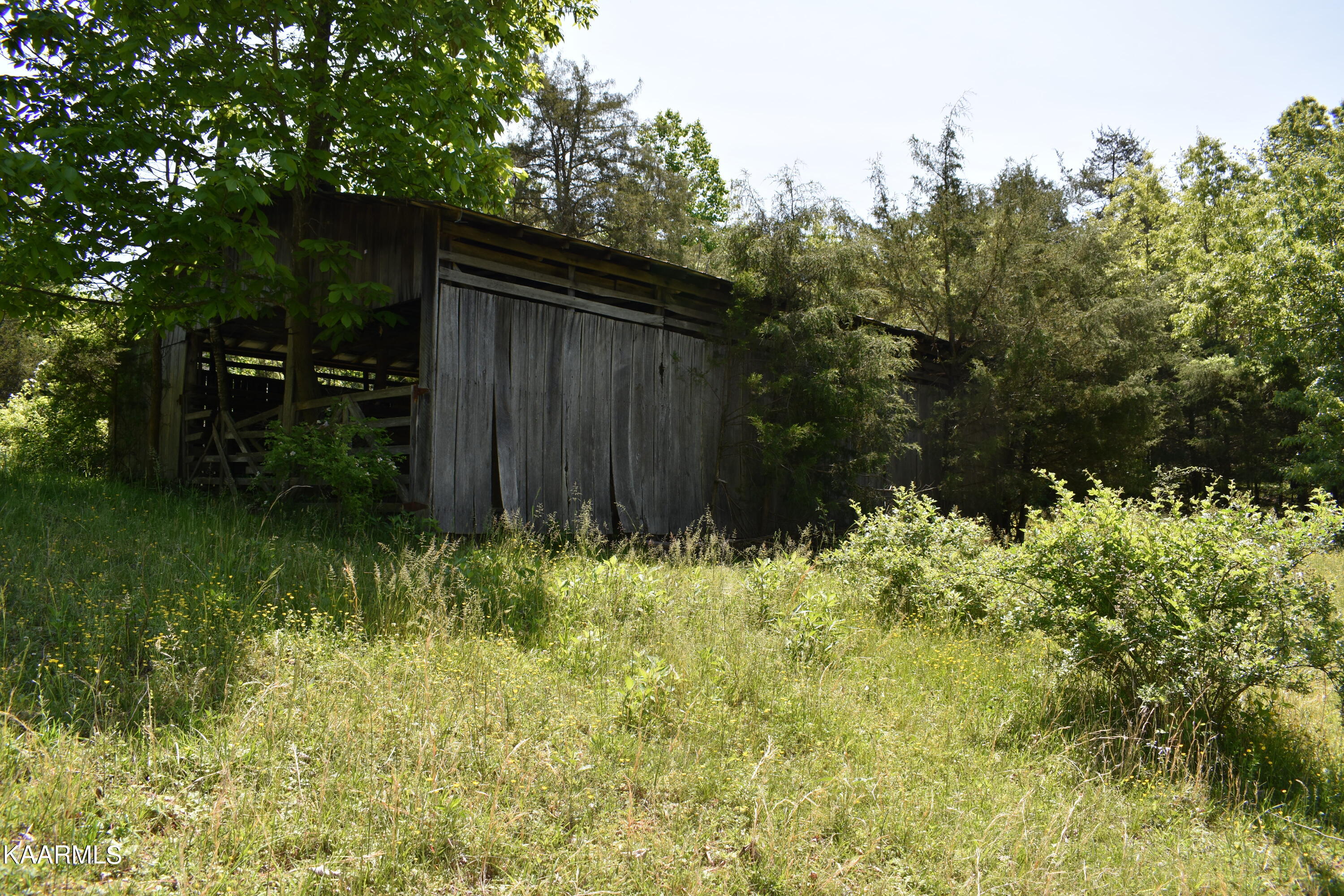 7736 Mulberry Gap Road Tazewell, TN 37879 - Photo 25 of 52 DSC_3108