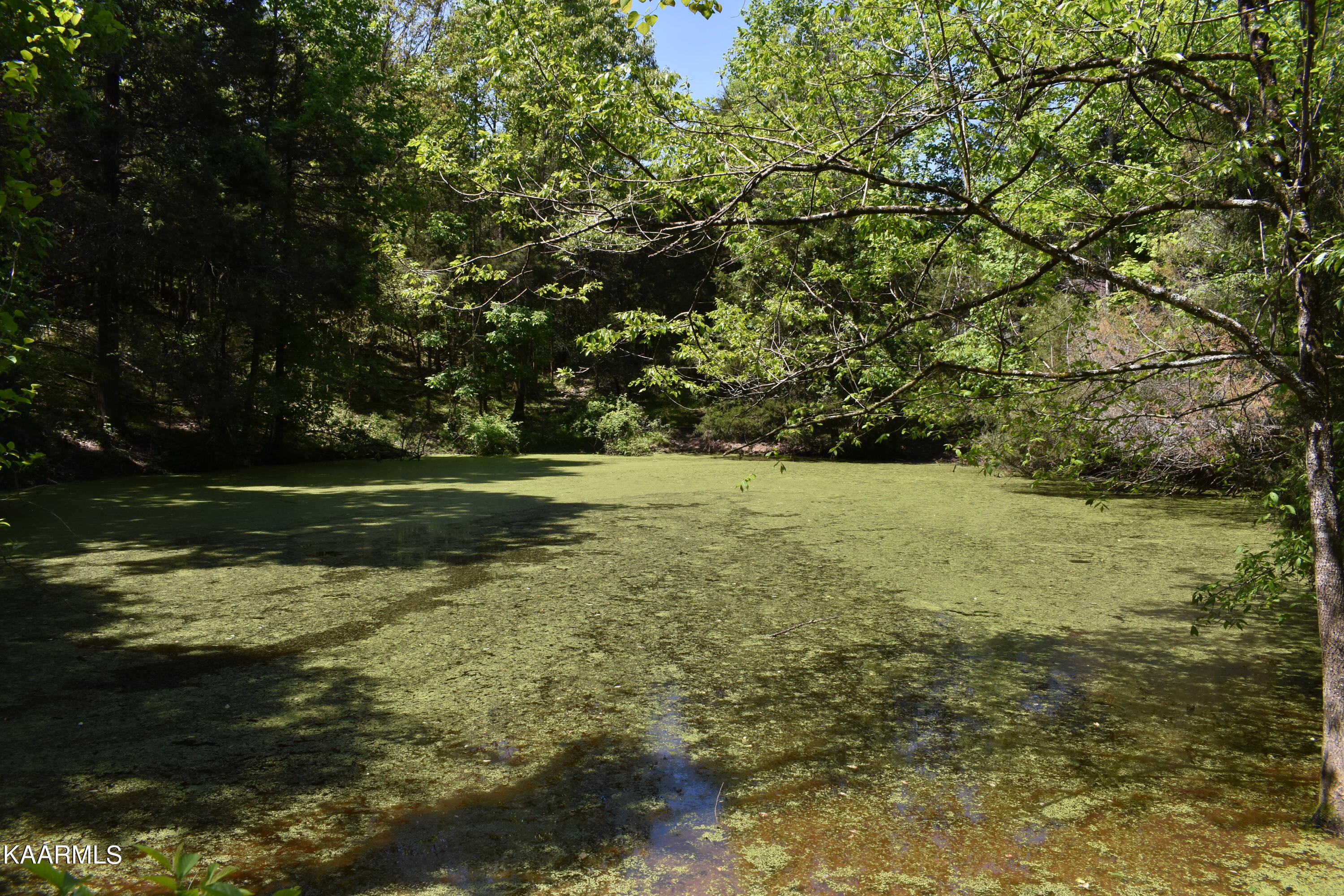 7736 Mulberry Gap Road Tazewell, TN 37879 - Photo 26 of 52 DSC_3111
