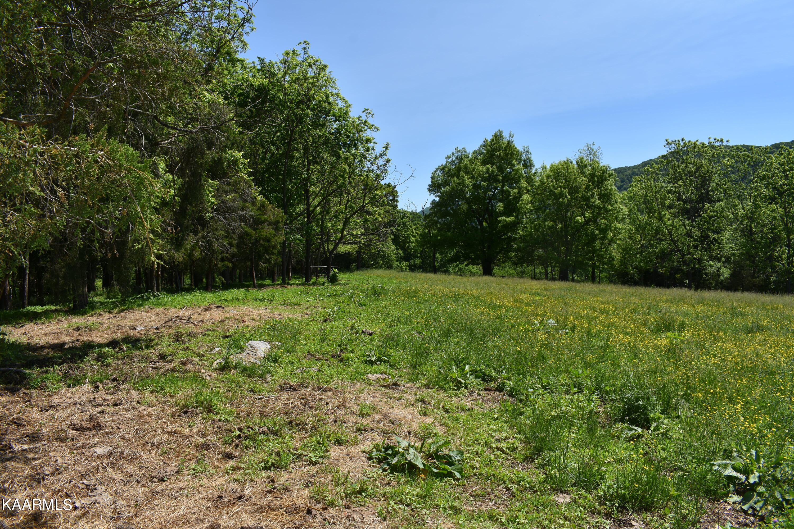 7736 Mulberry Gap Road Tazewell, TN 37879 - Photo 27 of 52 DSC_3112