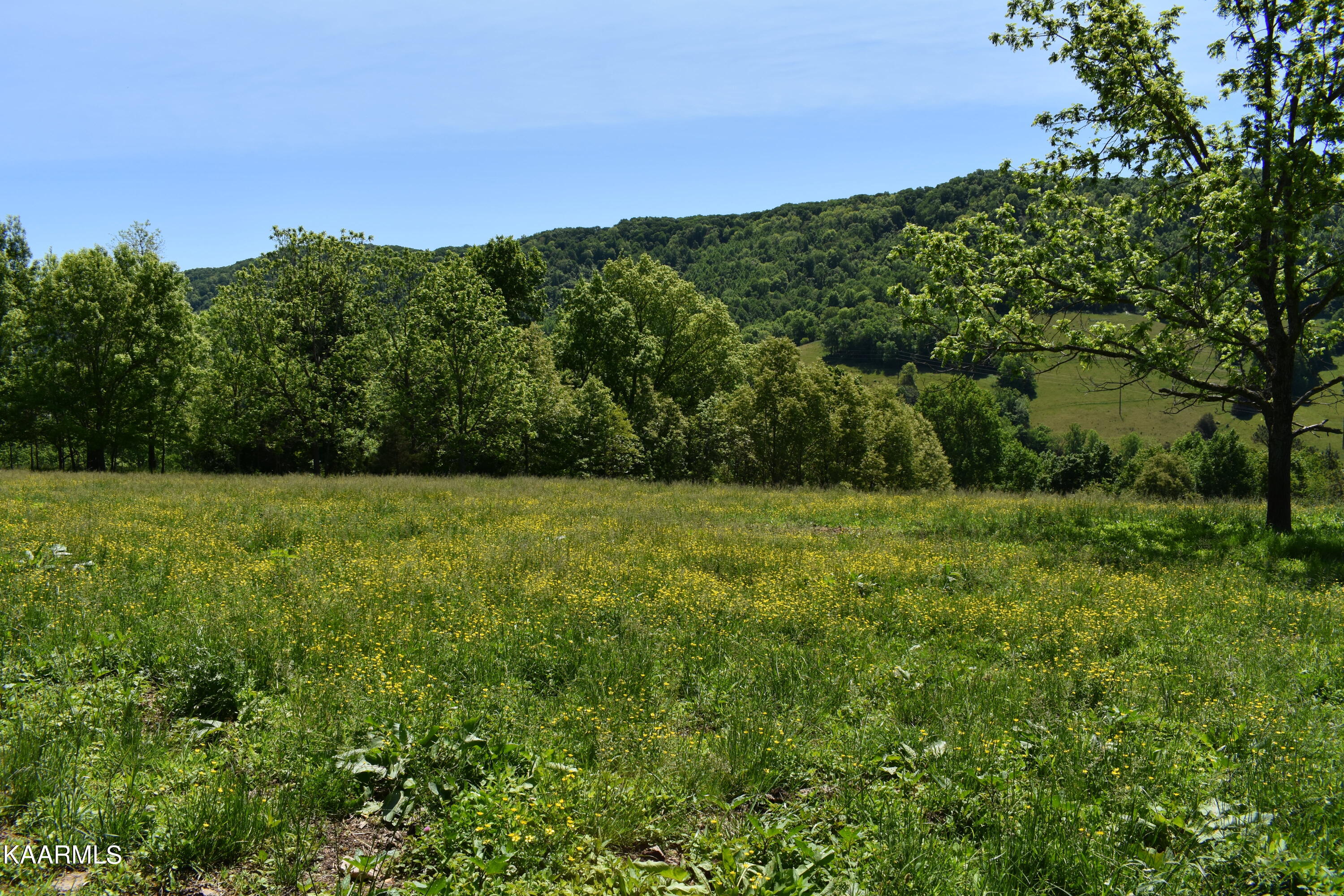 7736 Mulberry Gap Road Tazewell, TN 37879 - Photo 28 of 52 DSC_3113