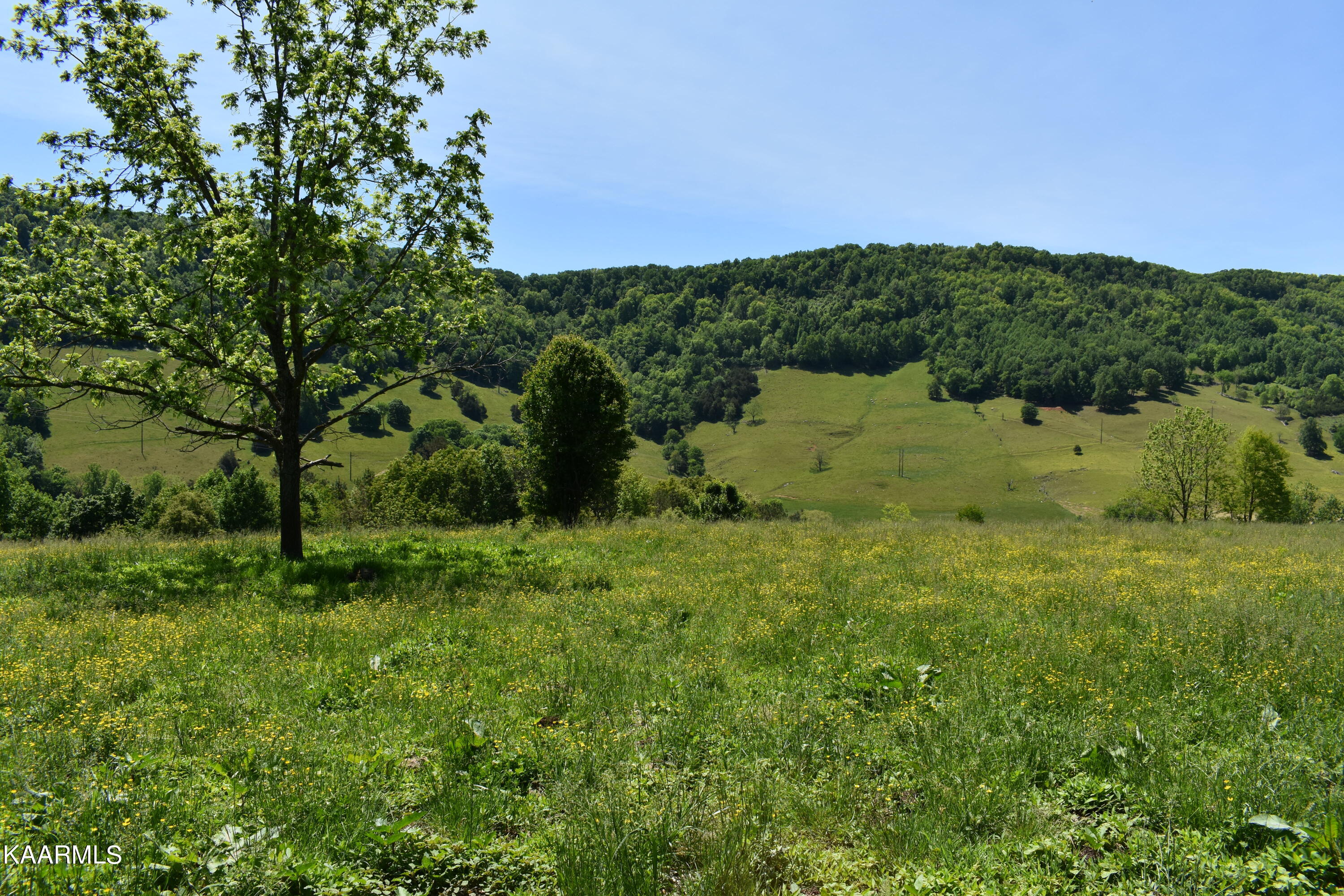 7736 Mulberry Gap Road Tazewell, TN 37879 - Photo 29 of 52 DSC_3114
