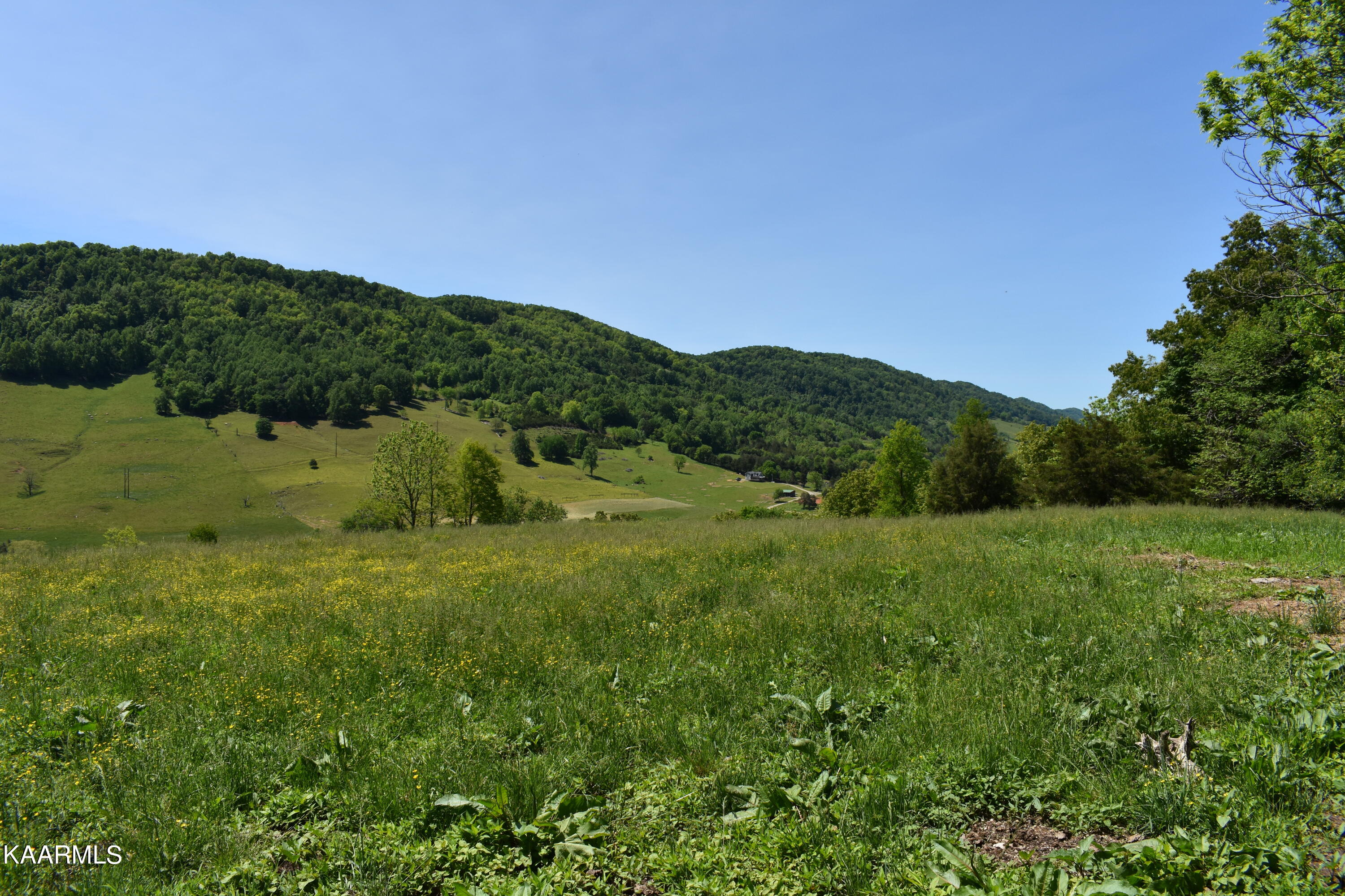 7736 Mulberry Gap Road Tazewell, TN 37879 - Photo 30 of 52 DSC_3115