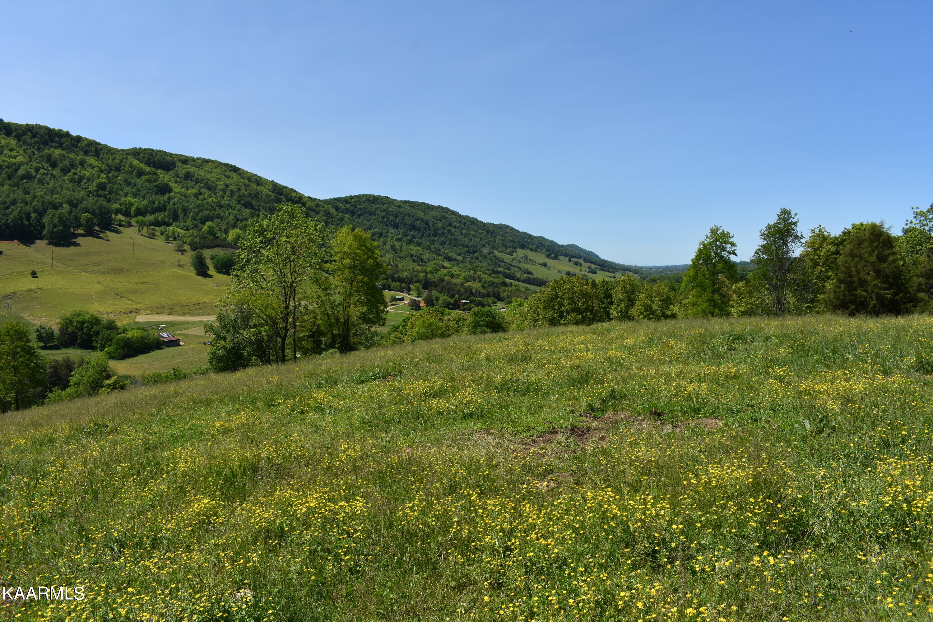 7736 Mulberry Gap Road Tazewell, TN 37879 - Photo 31 of 52 DSC_3116
