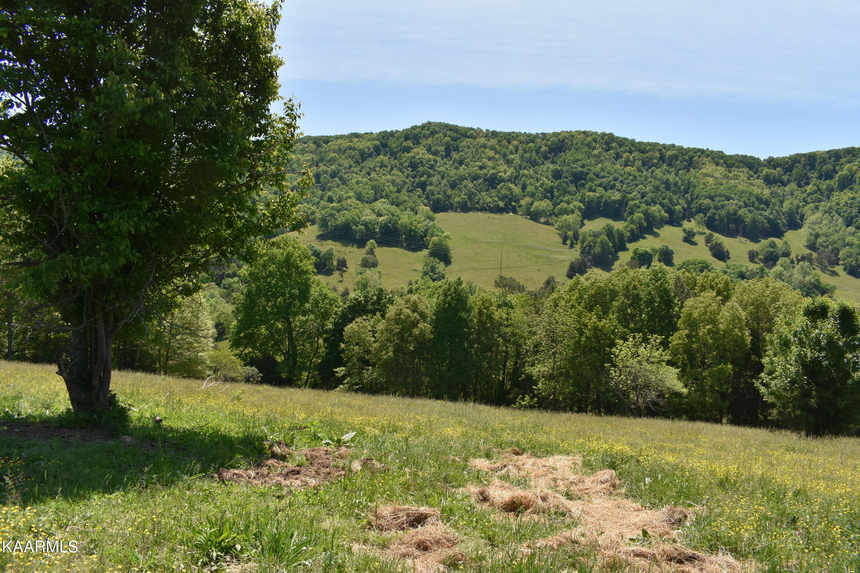 7736 Mulberry Gap Road Tazewell, TN 37879 - Photo 32 of 52 DSC_3117