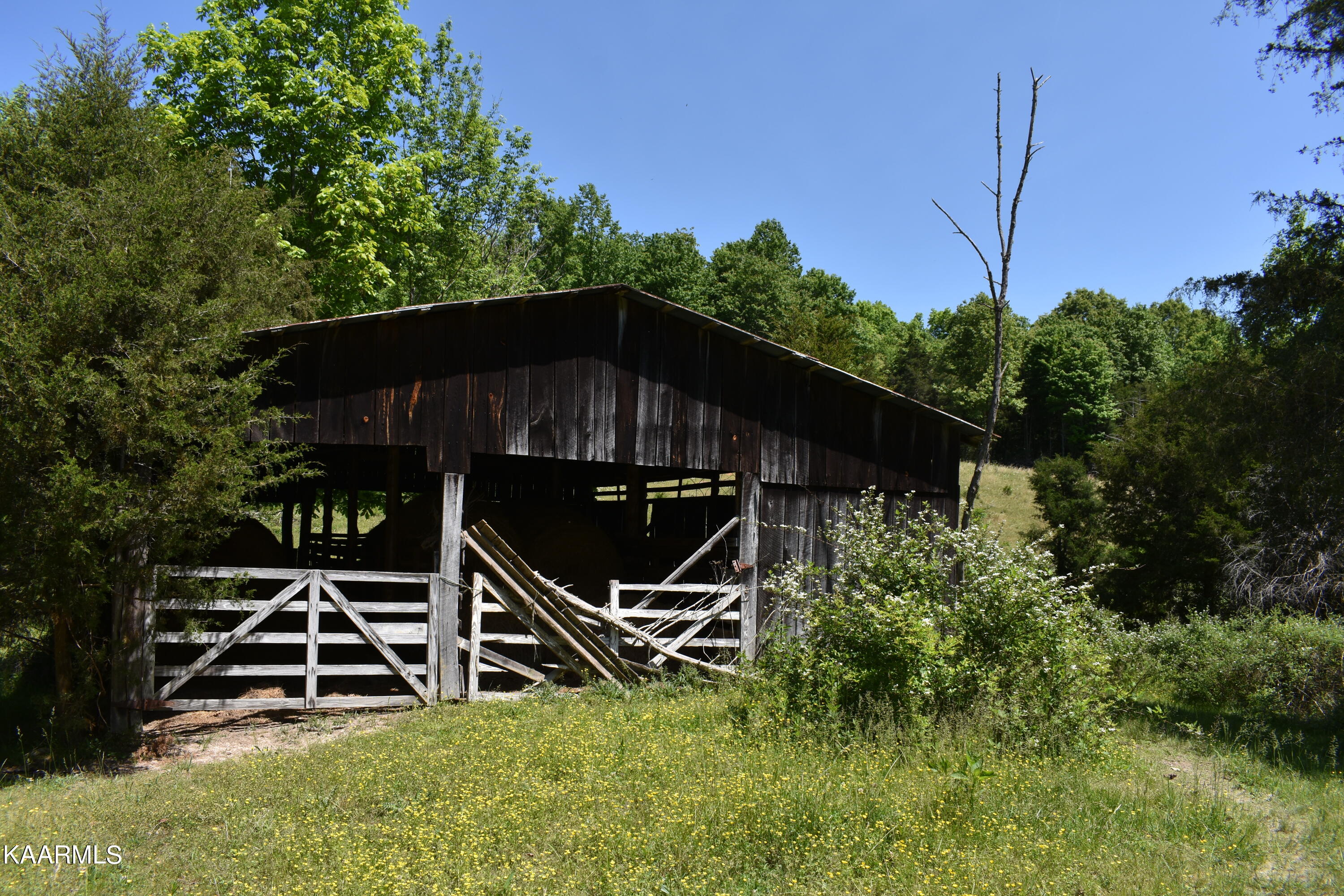 7736 Mulberry Gap Road Tazewell, TN 37879 - Photo 33 of 52 DSC_3118