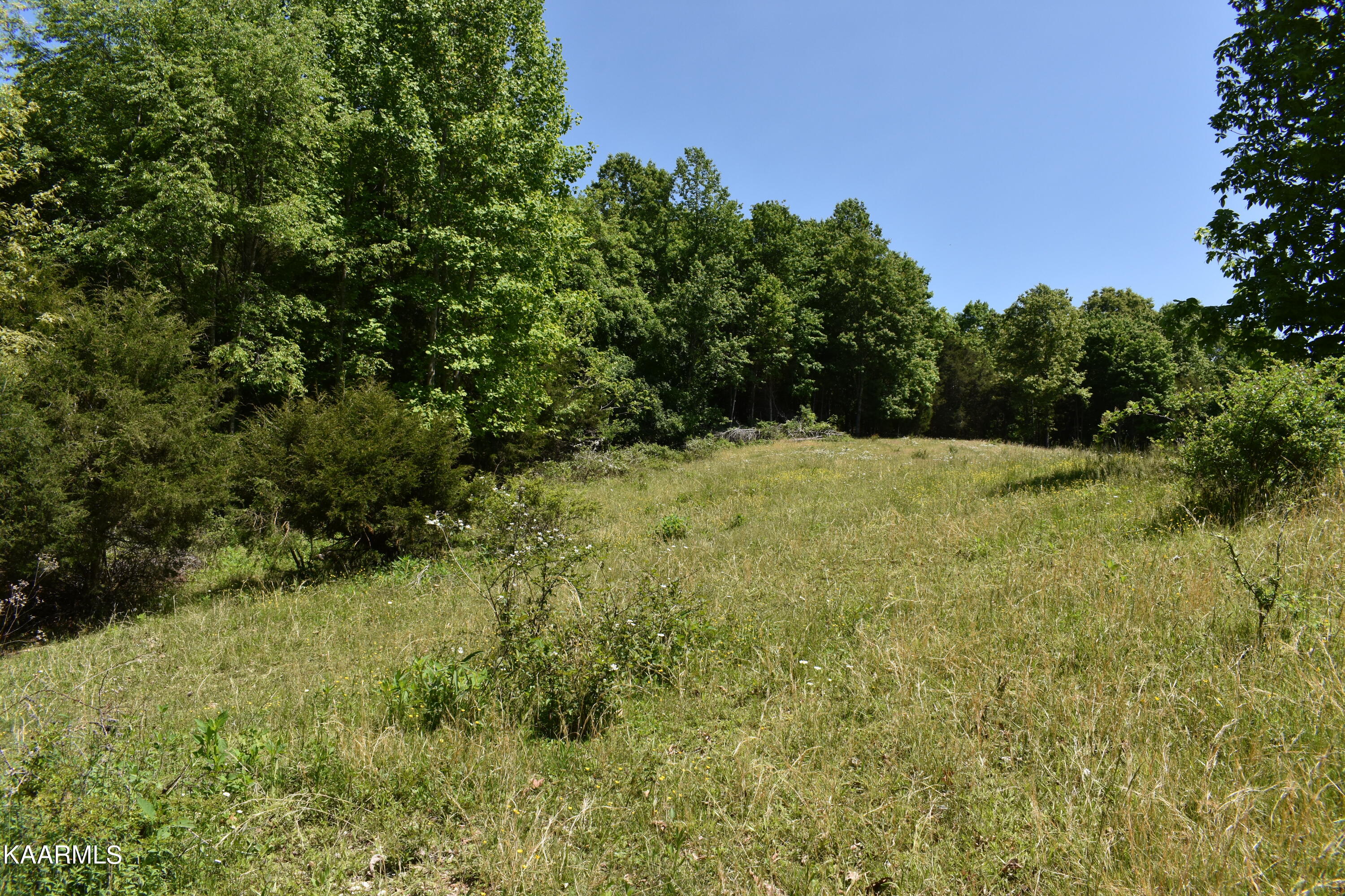 7736 Mulberry Gap Road Tazewell, TN 37879 - Photo 34 of 52 DSC_3119