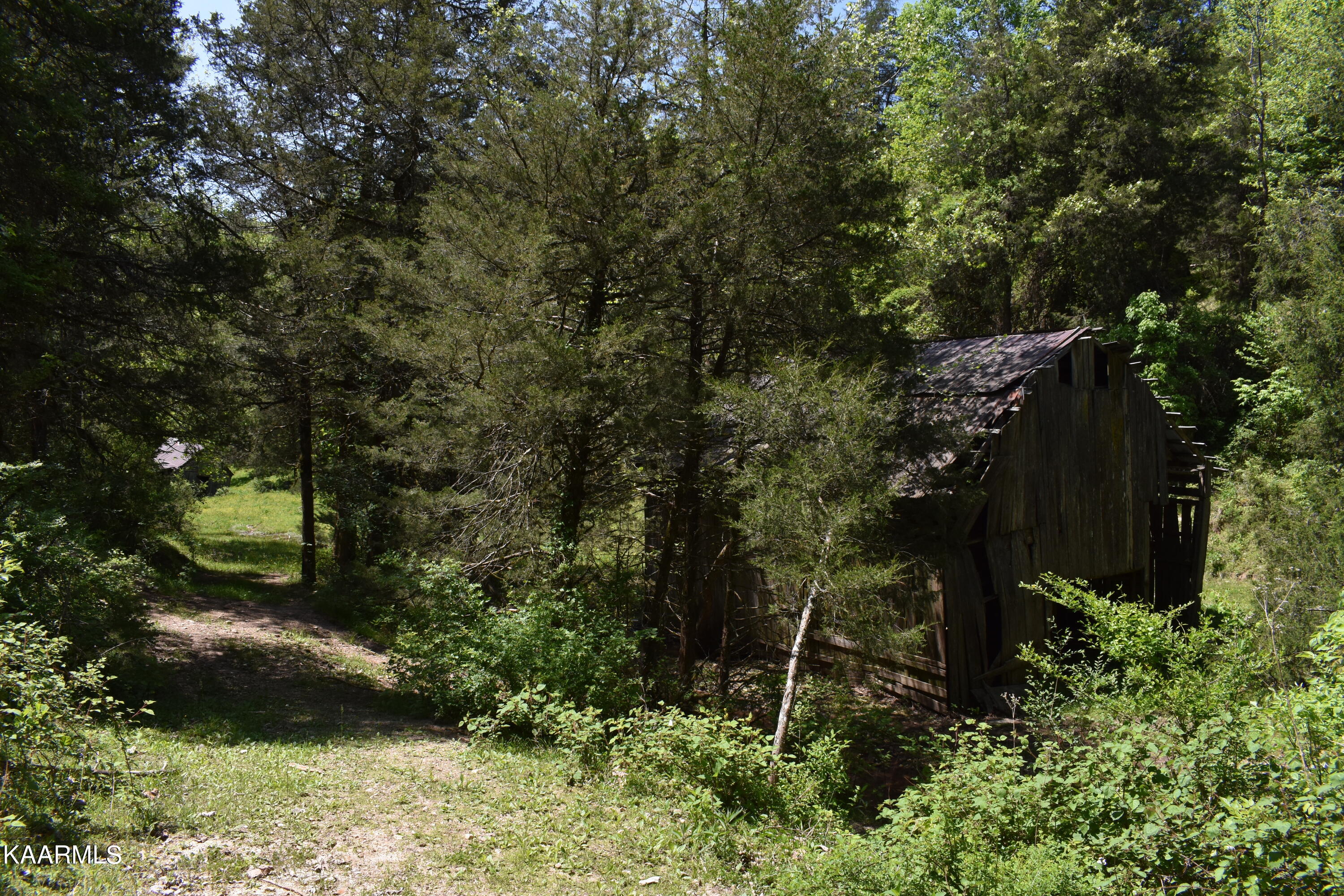 7736 Mulberry Gap Road Tazewell, TN 37879 - Photo 35 of 52 DSC_3121