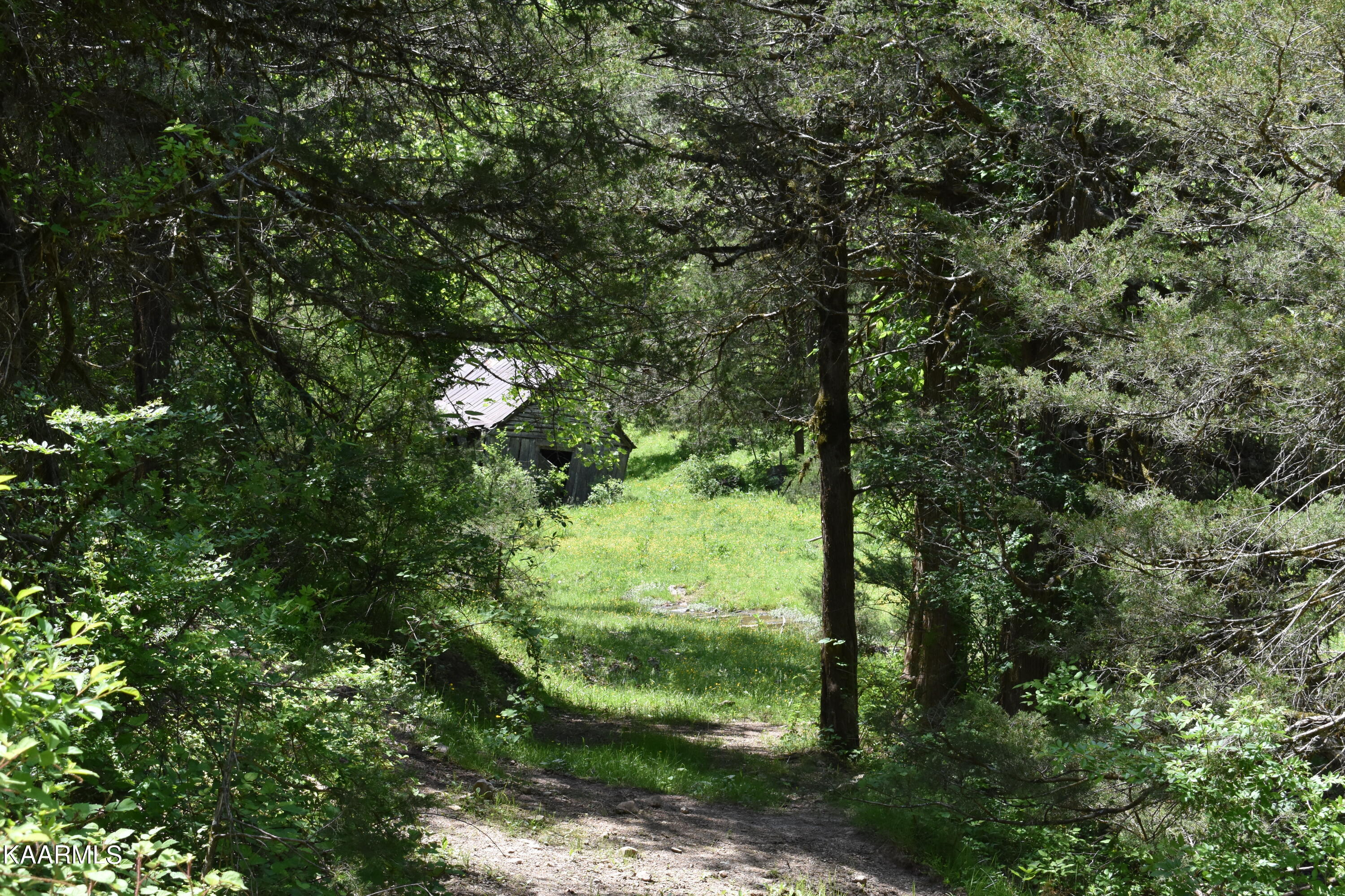 7736 Mulberry Gap Road Tazewell, TN 37879 - Photo 36 of 52 DSC_3122