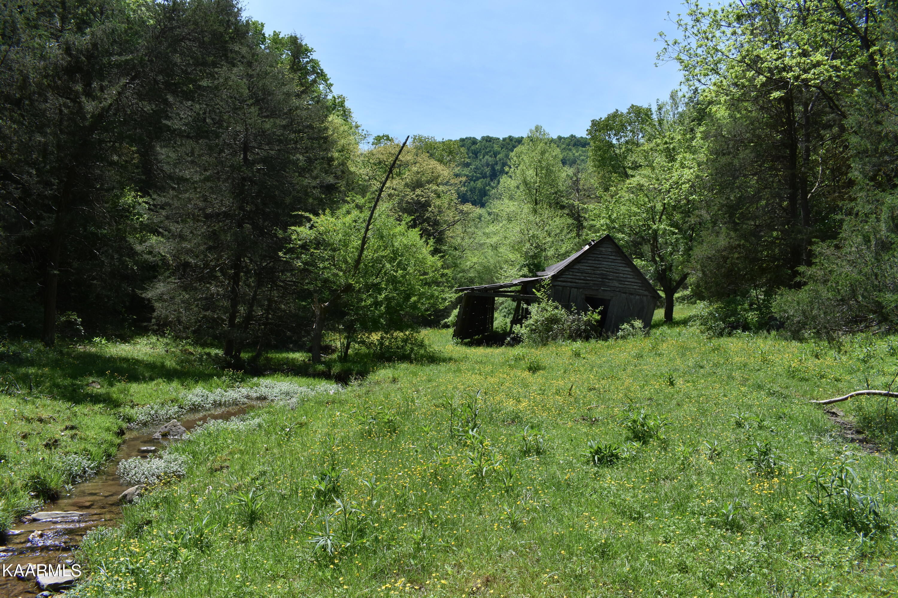 7736 Mulberry Gap Road Tazewell, TN 37879 - Photo 37 of 52 DSC_3123