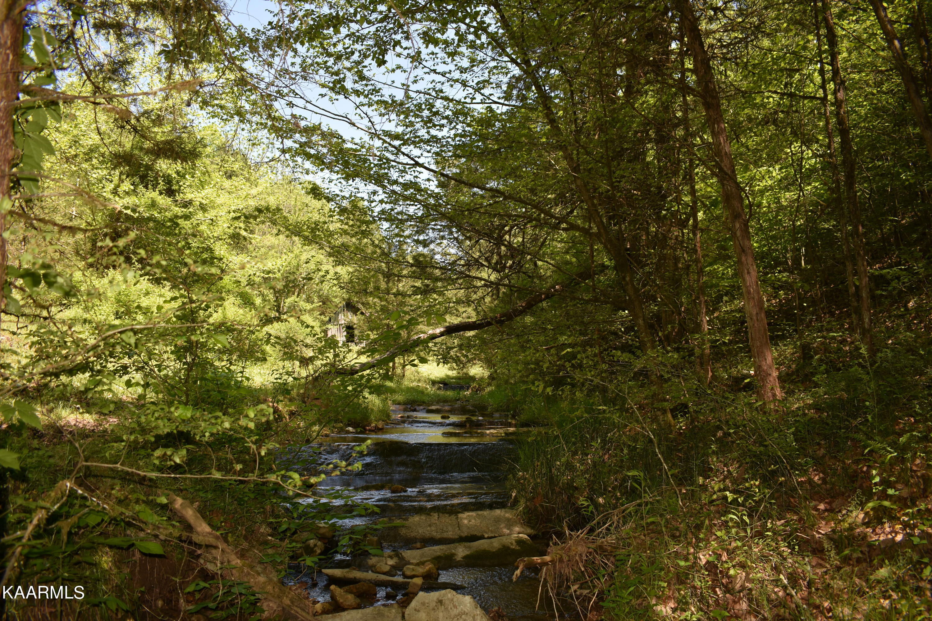 7736 Mulberry Gap Road Tazewell, TN 37879 - Photo 38 of 52 DSC_3125