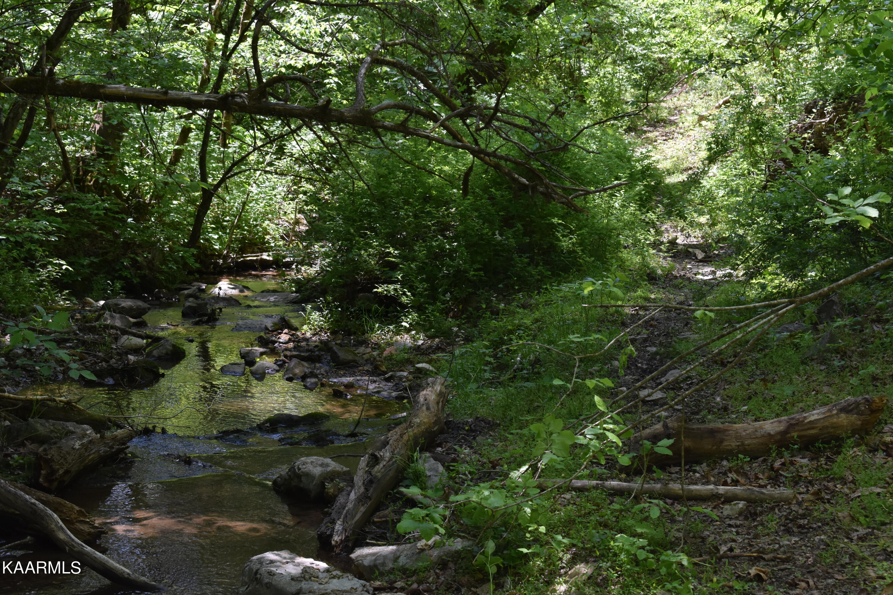 7736 Mulberry Gap Road Tazewell, TN 37879 - Photo 39 of 52 DSC_3126