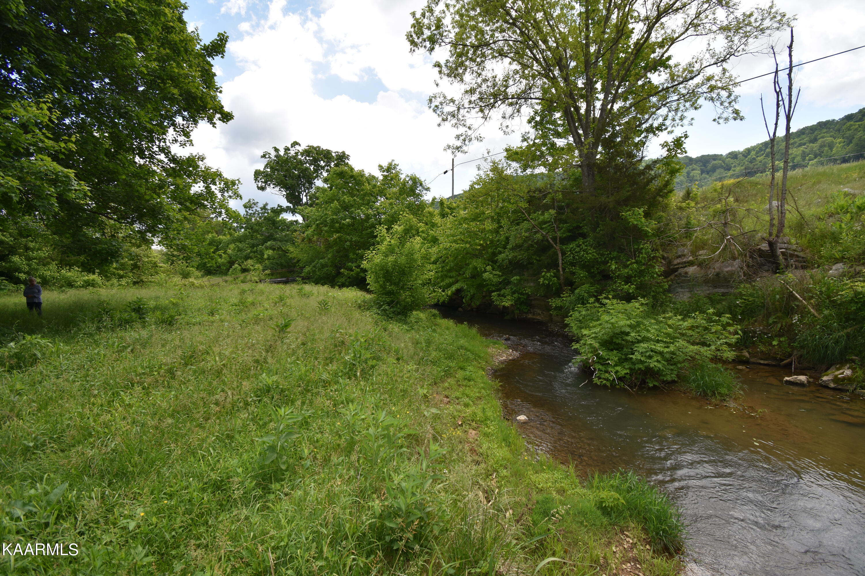 7736 Mulberry Gap Road Tazewell, TN 37879 - Photo 50 of 52 DSC_3157