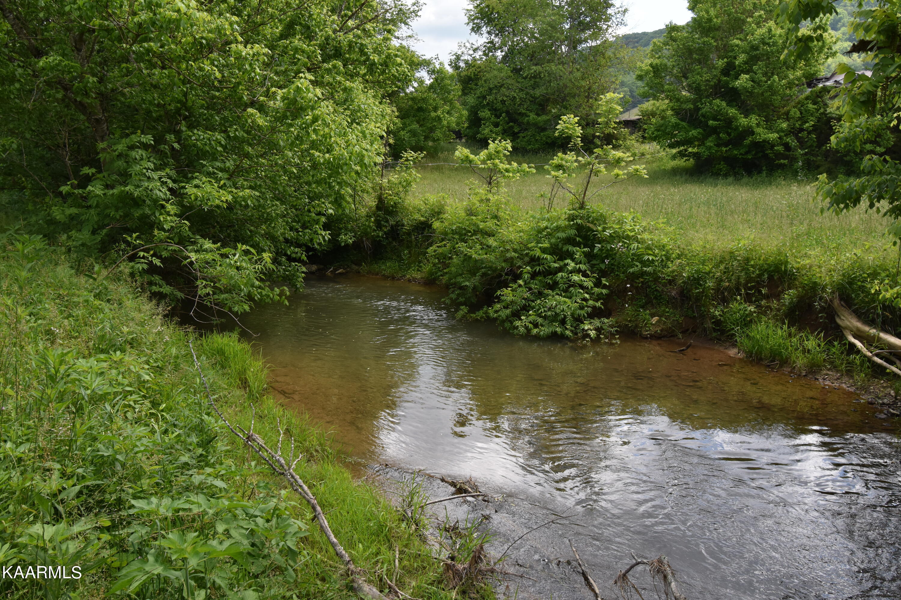 7736 Mulberry Gap Road Tazewell, TN 37879 - Photo 51 of 52 DSC_3163