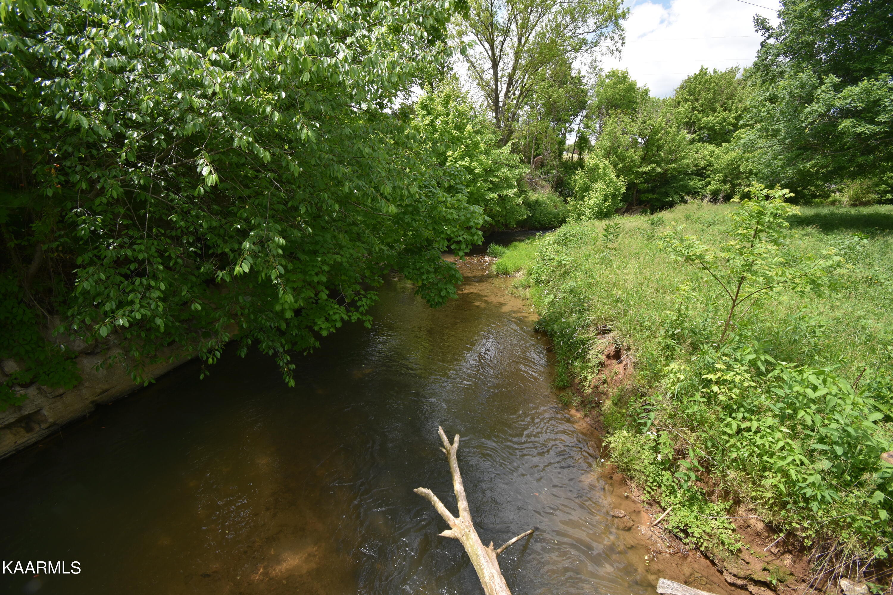 7736 Mulberry Gap Road Tazewell, TN 37879 - Photo 52 of 52 DSC_3167