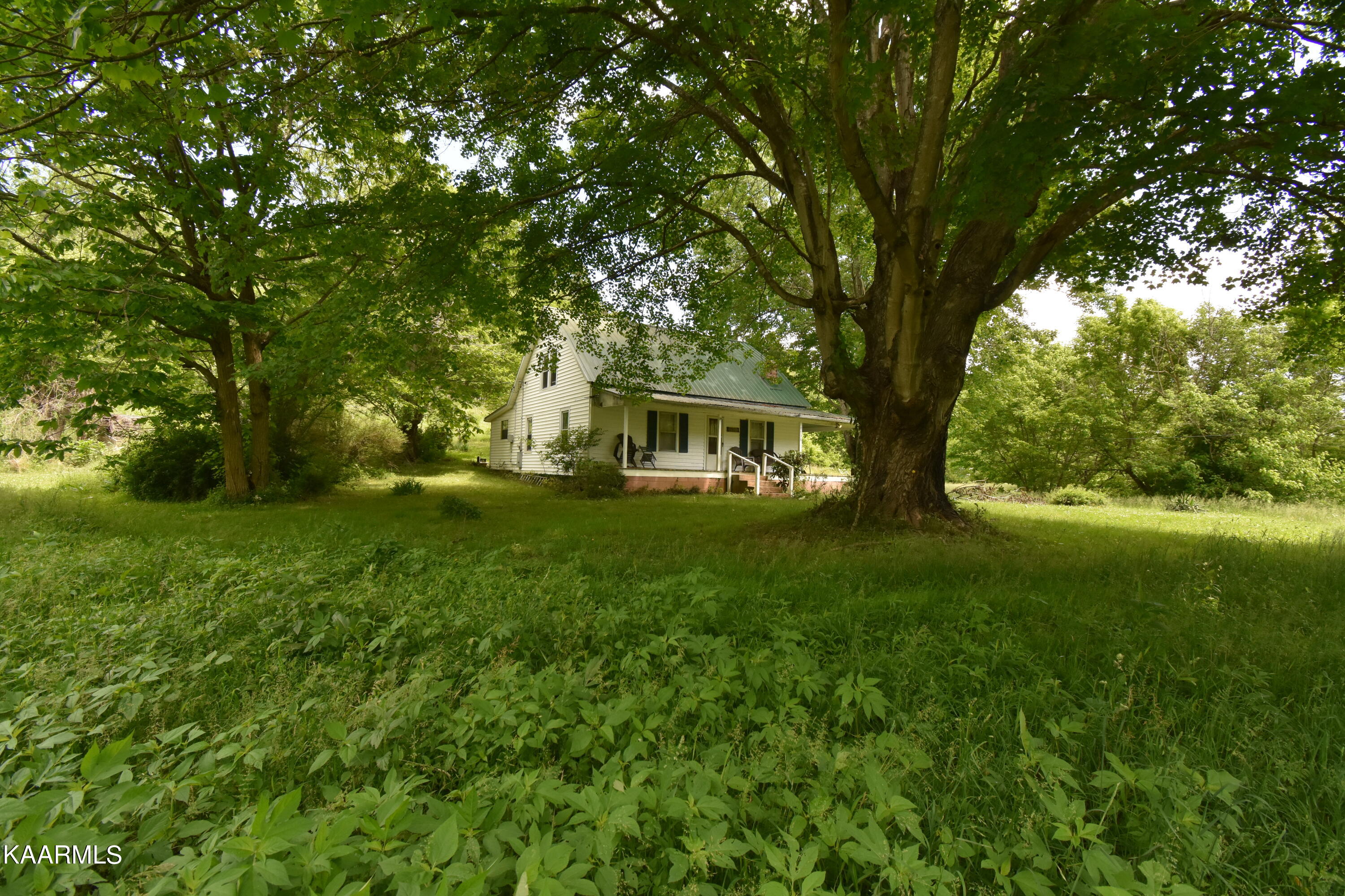 7736 Mulberry Gap Road Tazewell, TN 37879 - Photo 6 of 52 DSC_3155