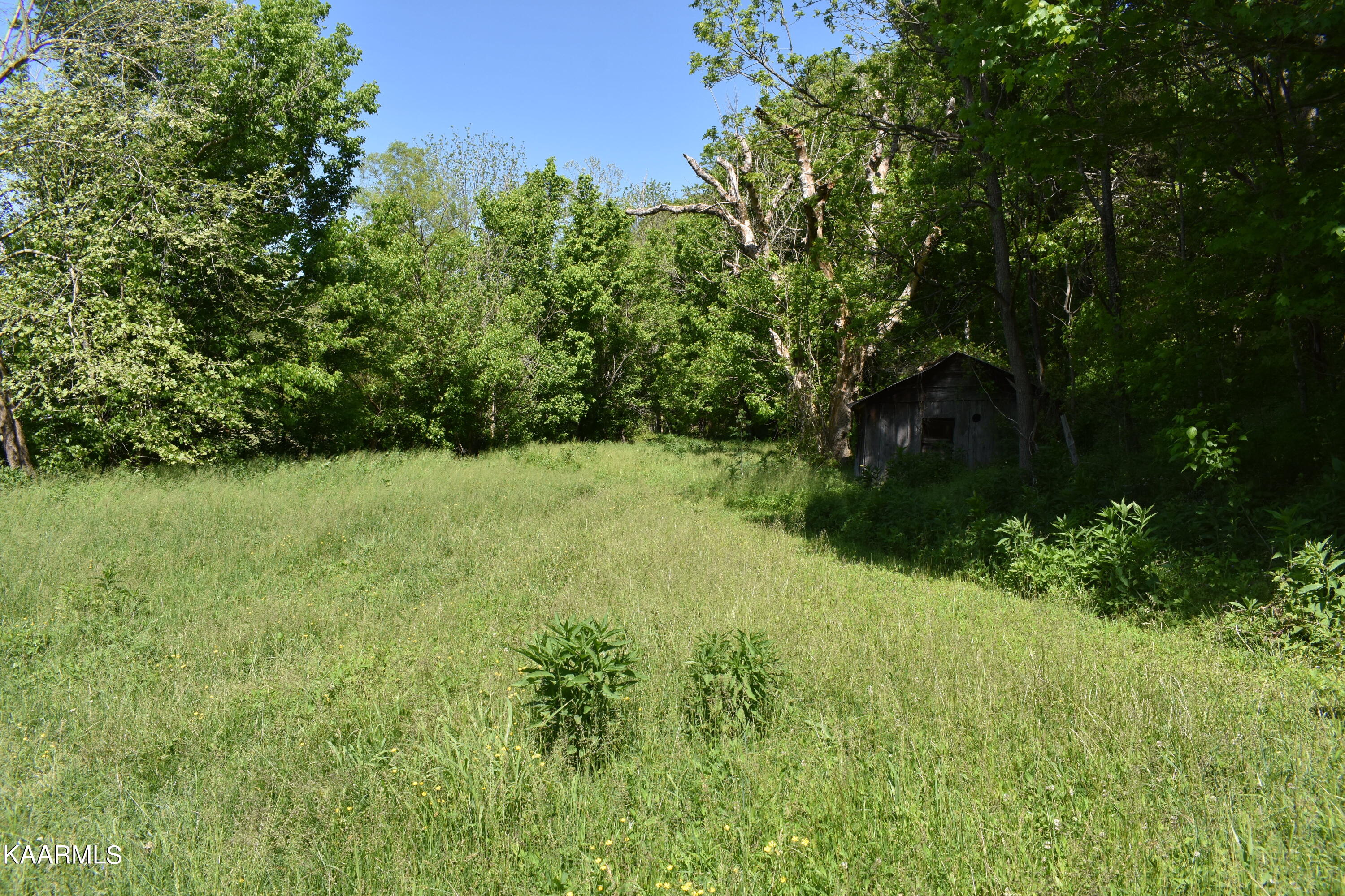 7736 Mulberry Gap Road Tazewell, TN 37879 - Photo 9 of 52 DSC_3073