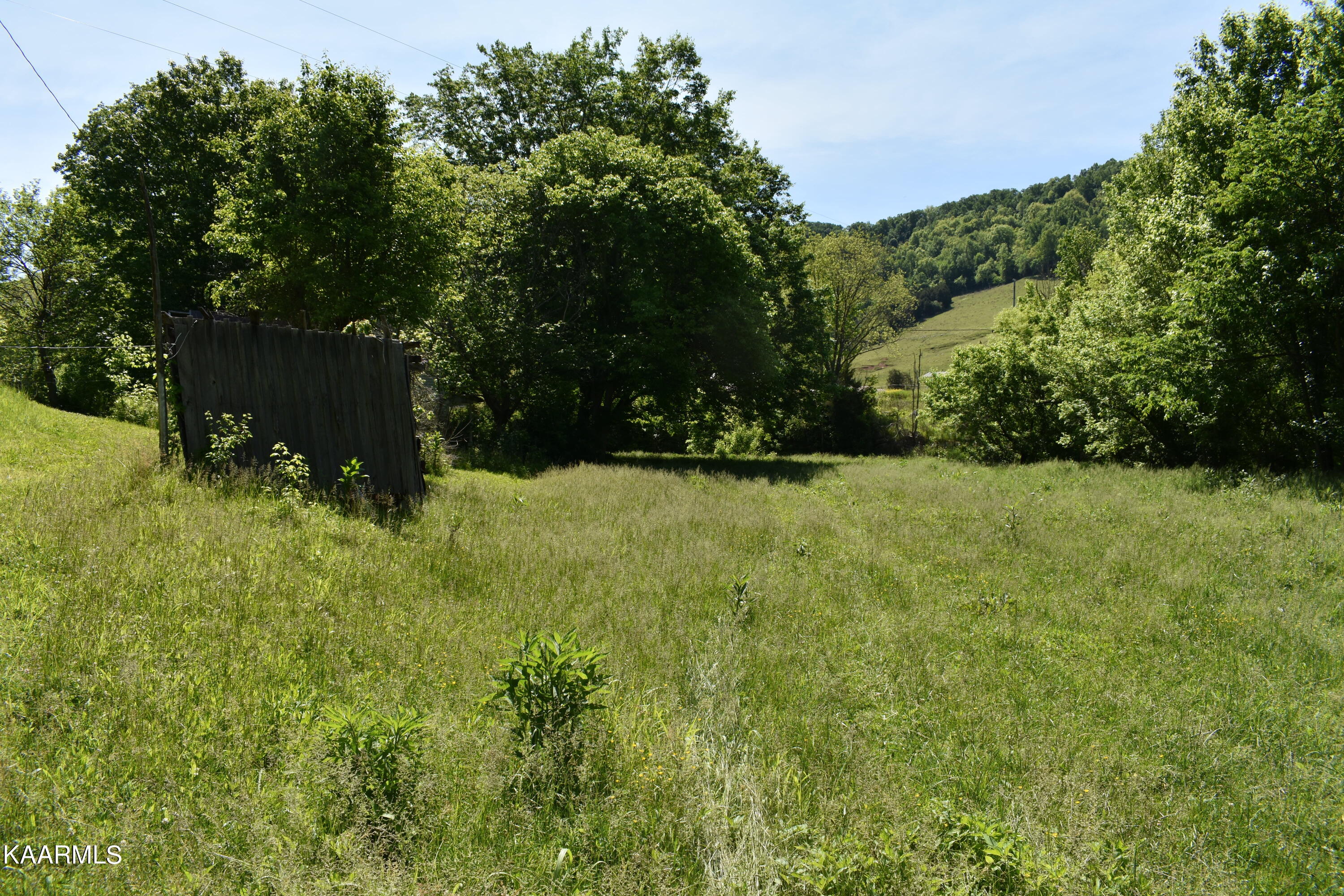 7736 Mulberry Gap Road Tazewell, TN 37879 - Photo 10 of 52 DSC_3074