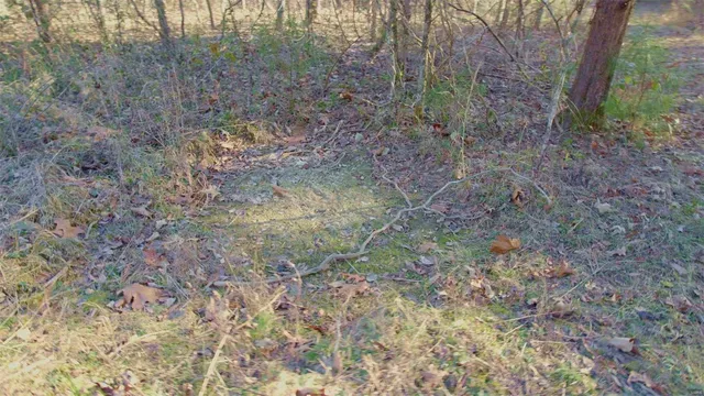 $946,517 | 3498 State Highway East, Zalma, MO 63787