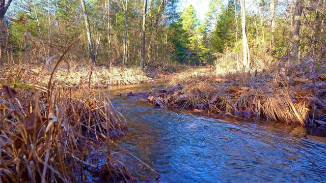 $946,517 | 3498 State Highway East, Zalma, MO 63787