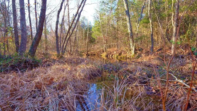 $946,517 | 3498 State Highway East, Zalma, MO 63787