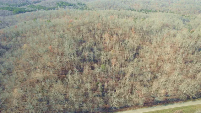 $946,517 | 3498 State Highway East, Zalma, MO 63787