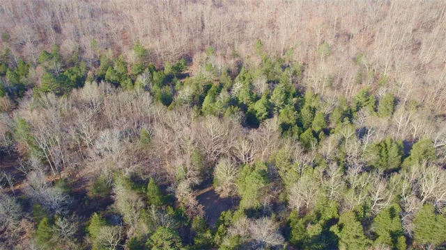 $946,517 | 3498 State Highway East, Zalma, MO 63787