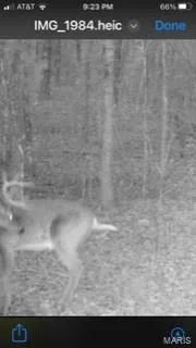 $946,517 | 3498 State Highway East, Zalma, MO 63787