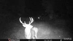 $946,517 | 3498 State Highway East, Zalma, MO 63787