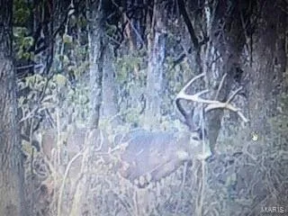 $946,517 | 3498 State Highway East, Zalma, MO 63787