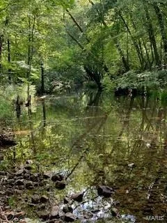 $946,517 | 3498 State Highway East, Zalma, MO 63787